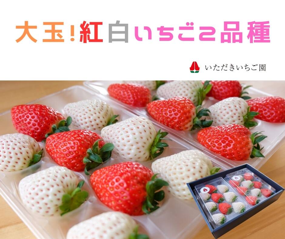ねこねこ様 リクエスト 2点 まとめ商品 ねこ様 リクエスト 5点