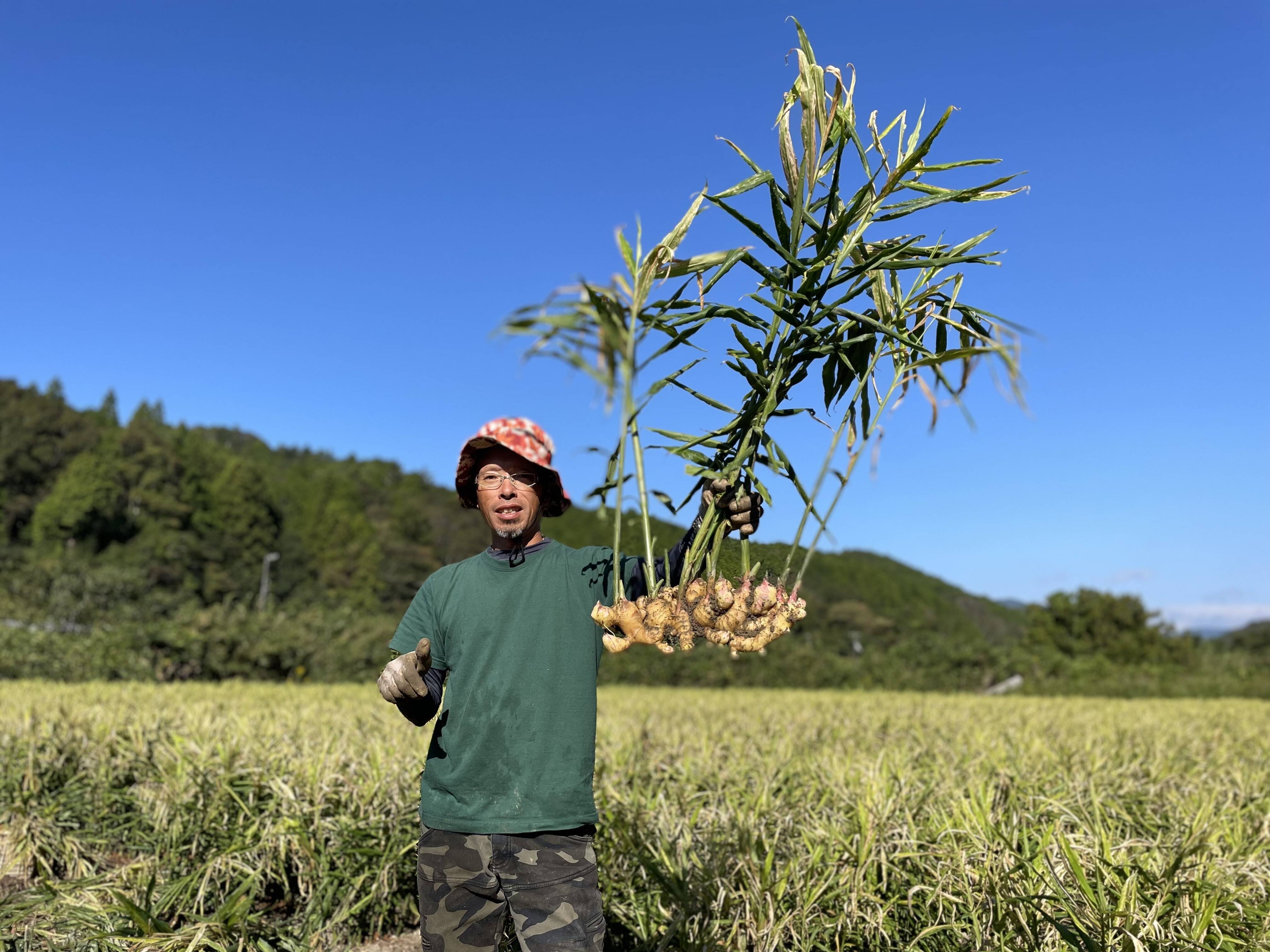 けろっぴ様用 R6年産 農薬不使用 色選別済 山形県産 はえぬき 玄米28kg はえぬき 【送料無料】令和6年産 山形県産 玄米30kg[四国・九州