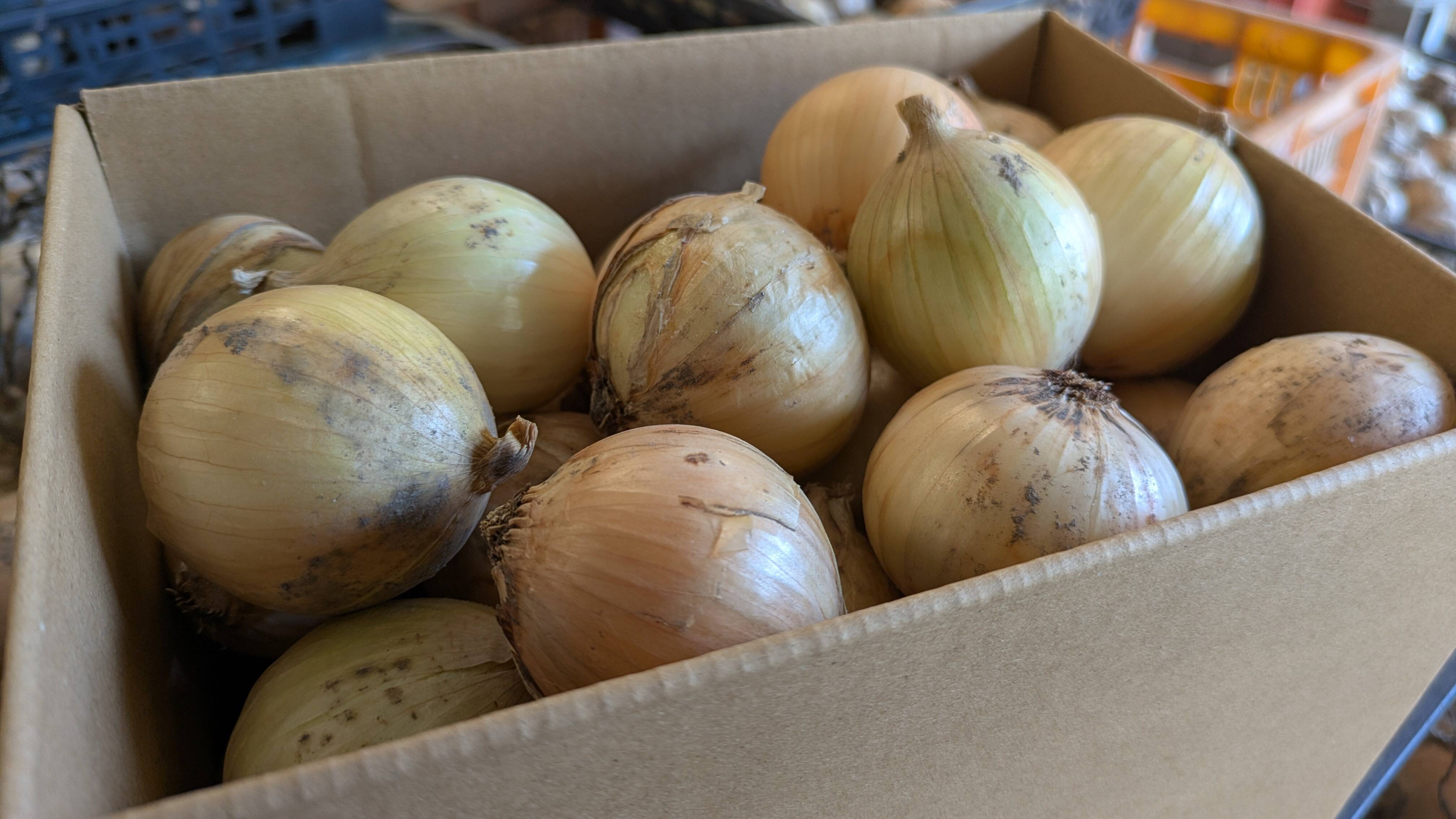 たまねぎ屋　みーちゃん たまねぎ屋 みーちゃん様 リクエスト 5点 まとめ商品 たまねぎ屋 みー