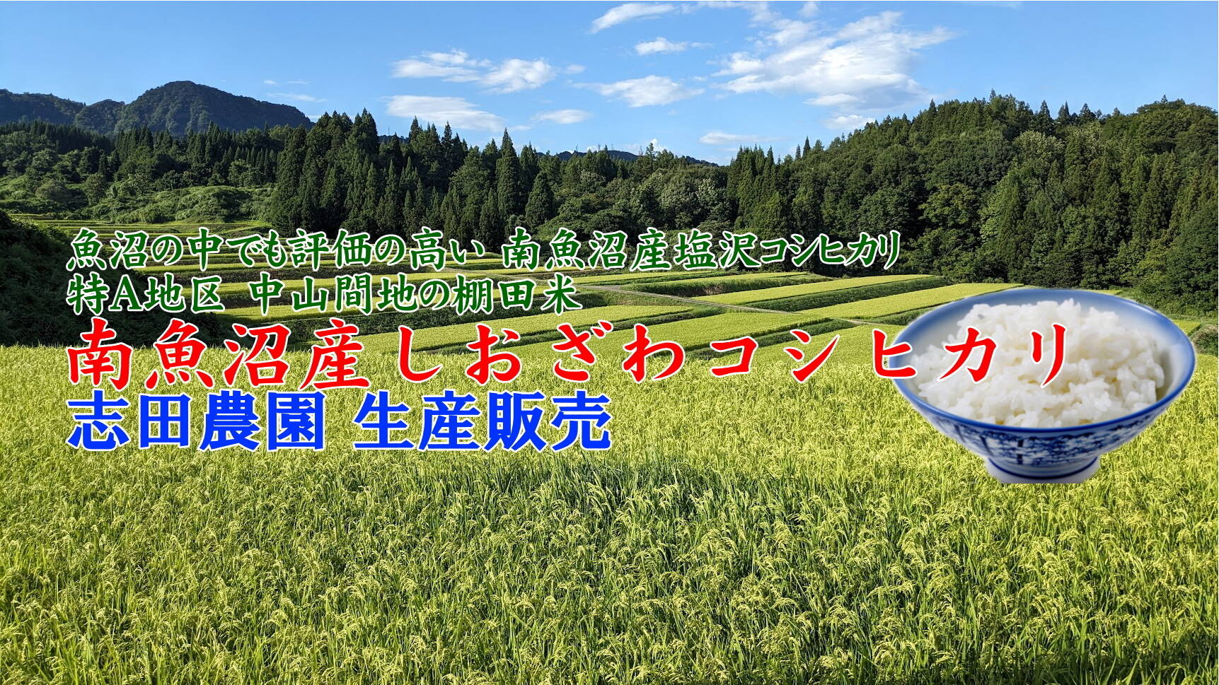 志田農園 コシヒカリ生産販売へのレビュー・商品：新潟県｜食べチョク