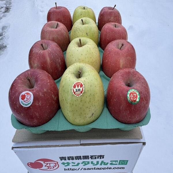 サンふじ＆王林 家庭用 約5キロ クリスマスカラーの詰合せをサンタ