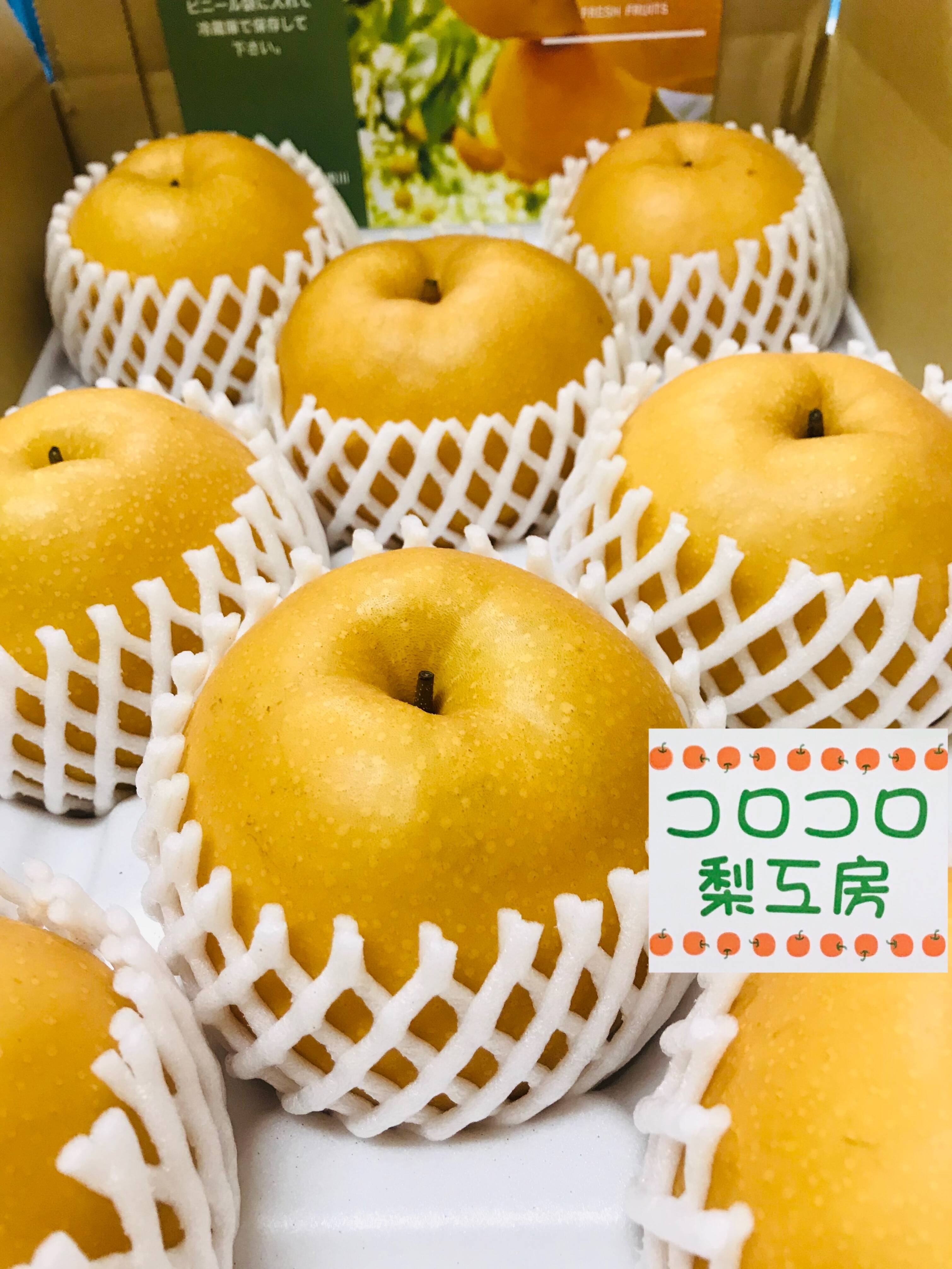 糖度ピークです‼️【味に自信あり】PREMIUM新高梨約5kg(5~9個