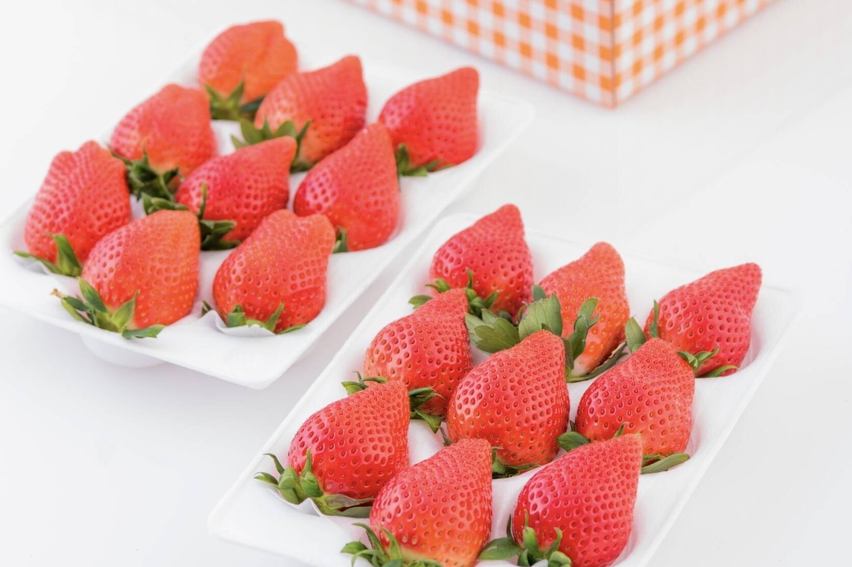 4年連続金賞受賞・群馬県最高峰いちご「スーパーデラックス」ダブル（W