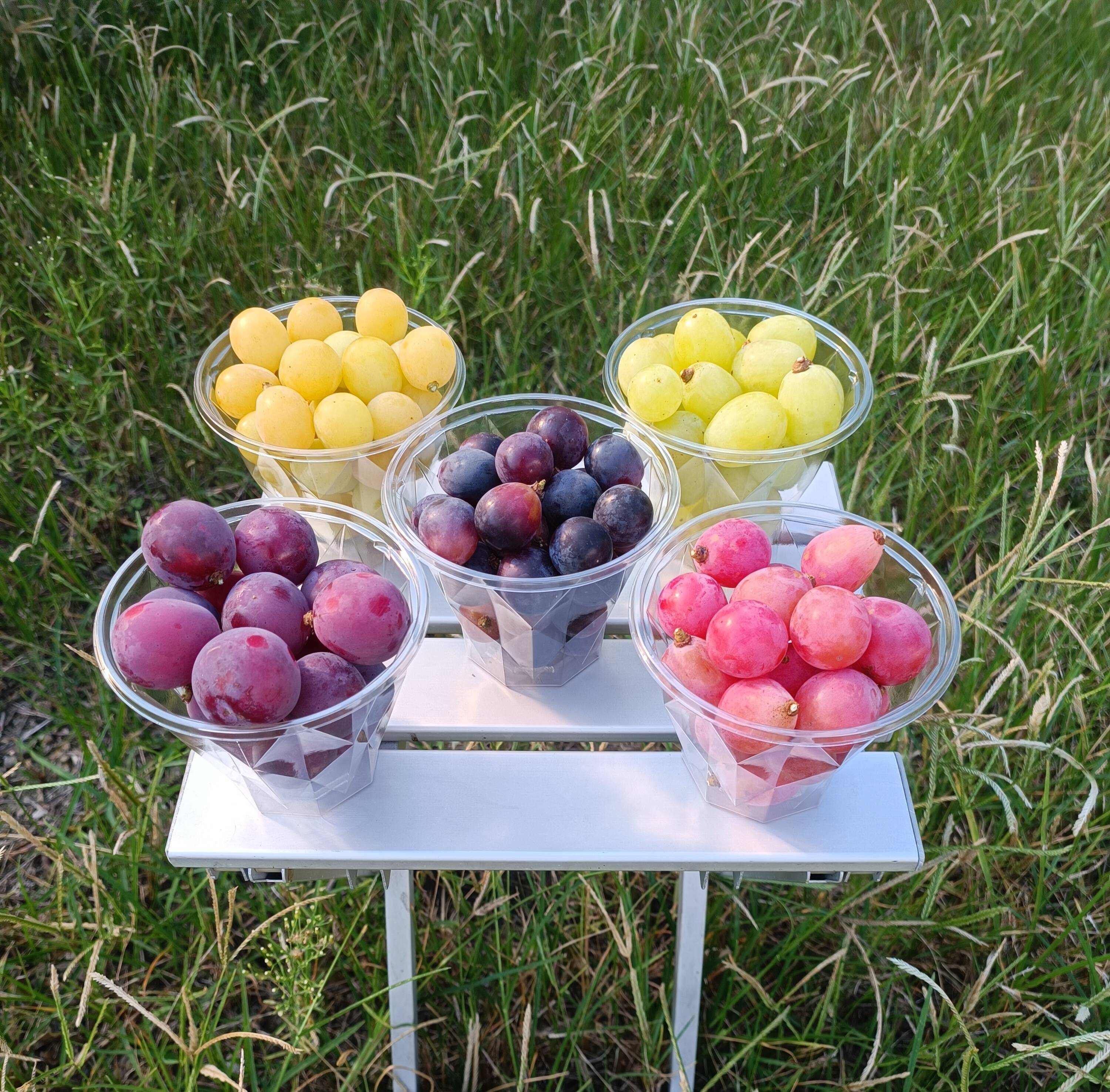 839bca9f49dec91b93f405563d923d