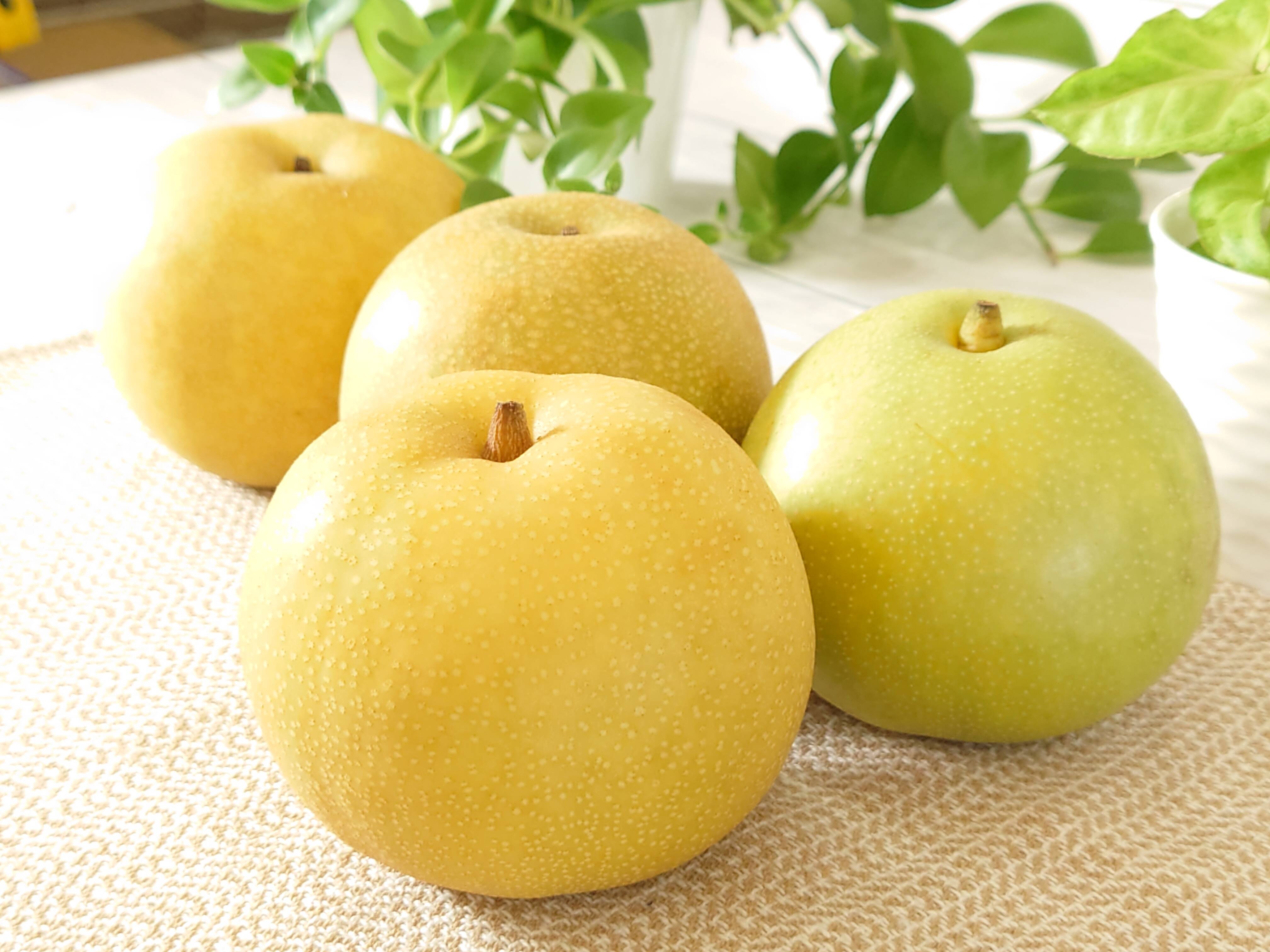 美味しい梨！ わくわく複数品種詰め合わせ 約3kg：新潟県産の品種