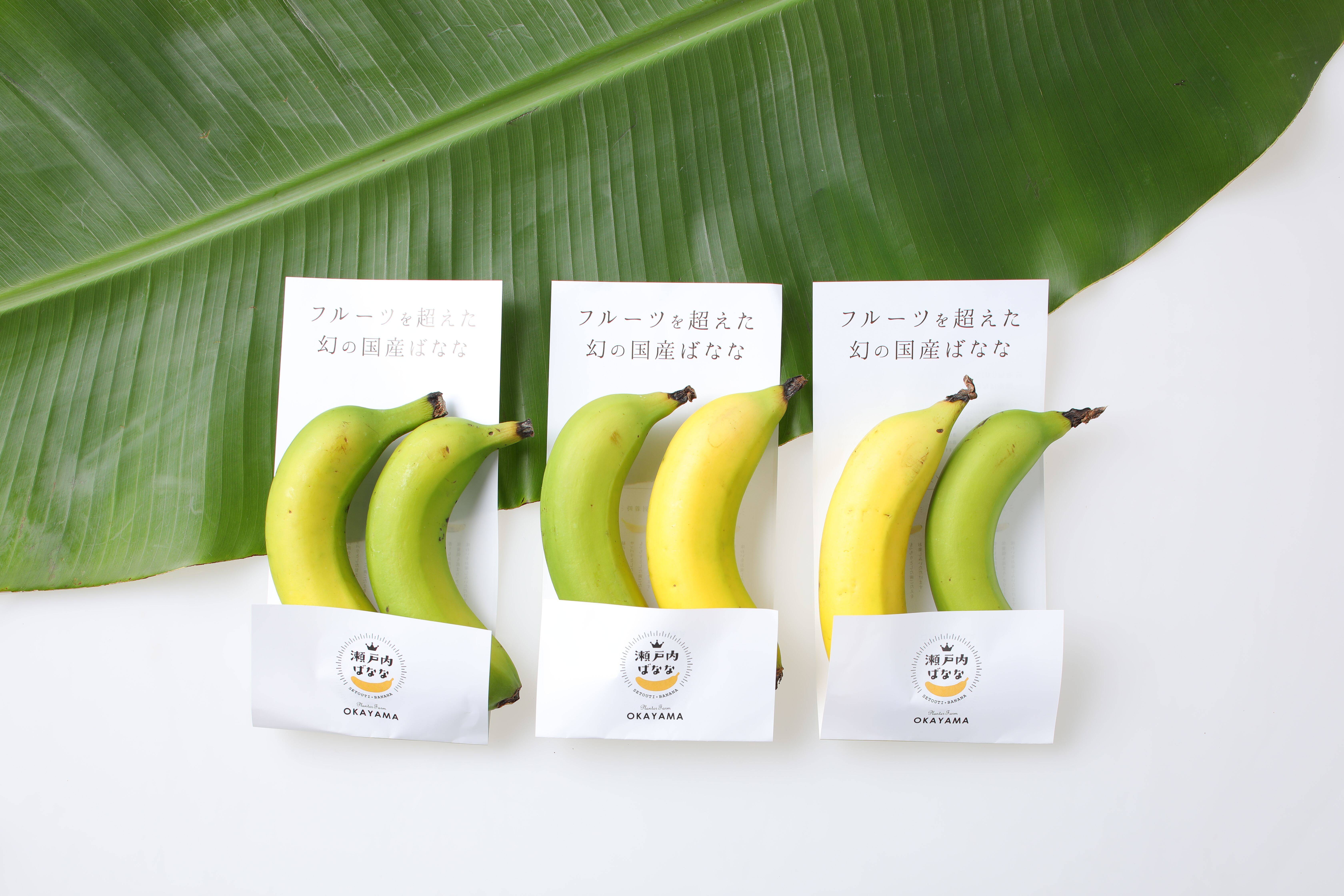 フルーツを超えた幻の国産バナナ 皮ごと食べられる 瀬戸内ばなな 2本入3pack 計6本 岡山県産のバナナ 食べチョク 産地直送 産直 お取り寄せ通販 農家 漁師から旬の食材を直送