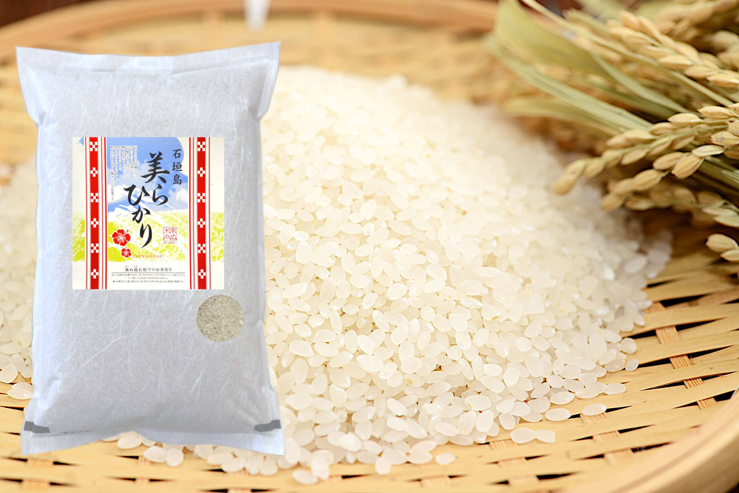 食品/飲料/酒【令和2年度】新米　白米20kg （5kg×4）長野県産　コシヒカリ　お米