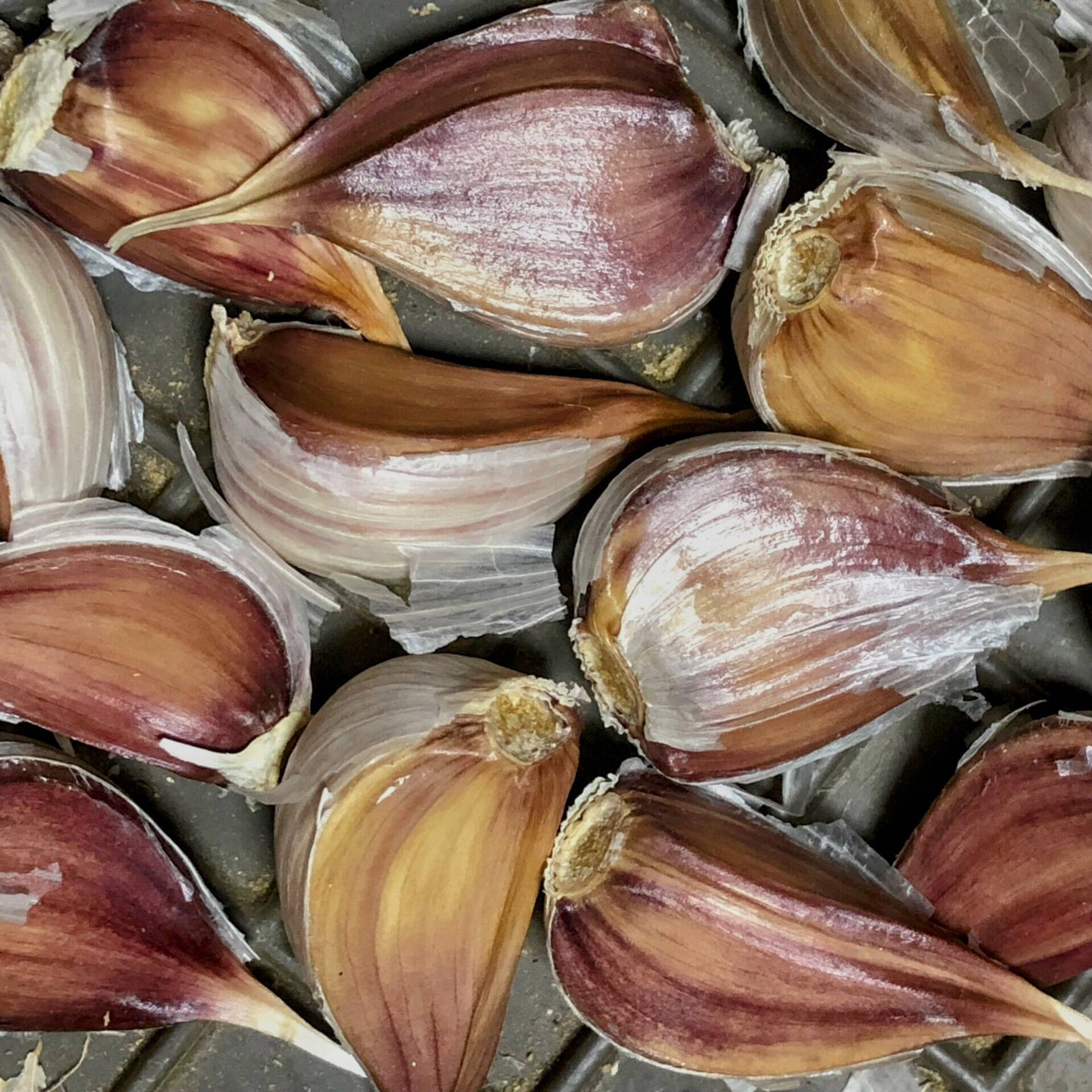 専用出品 農薬未使用 土佐ニンニク2.5kg 専用出品 農薬未使用 土佐ニンニク