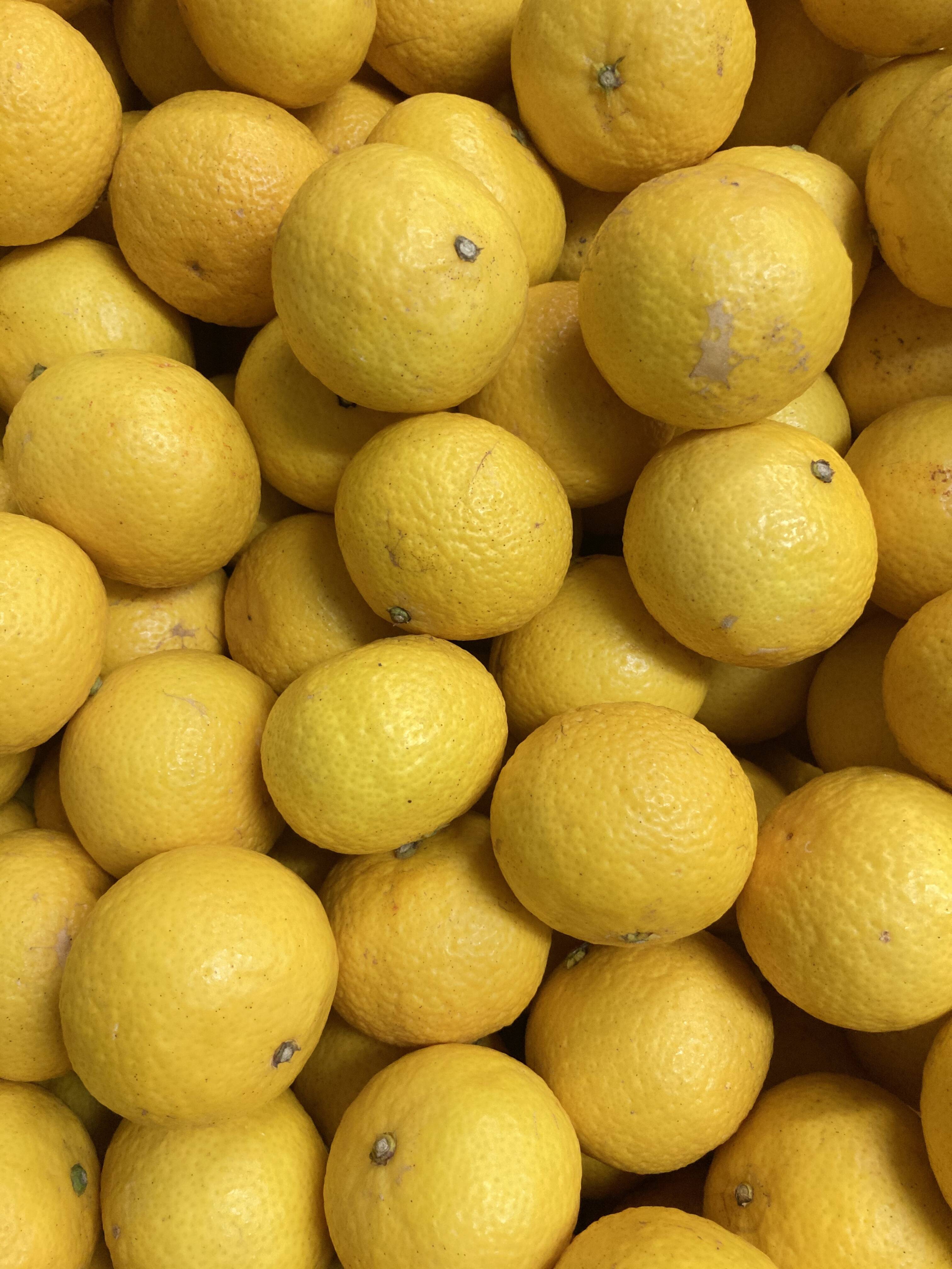 2026ねん』【希少】湘南ゴールド(露地栽培)B品家庭用混合サイズ S ~L