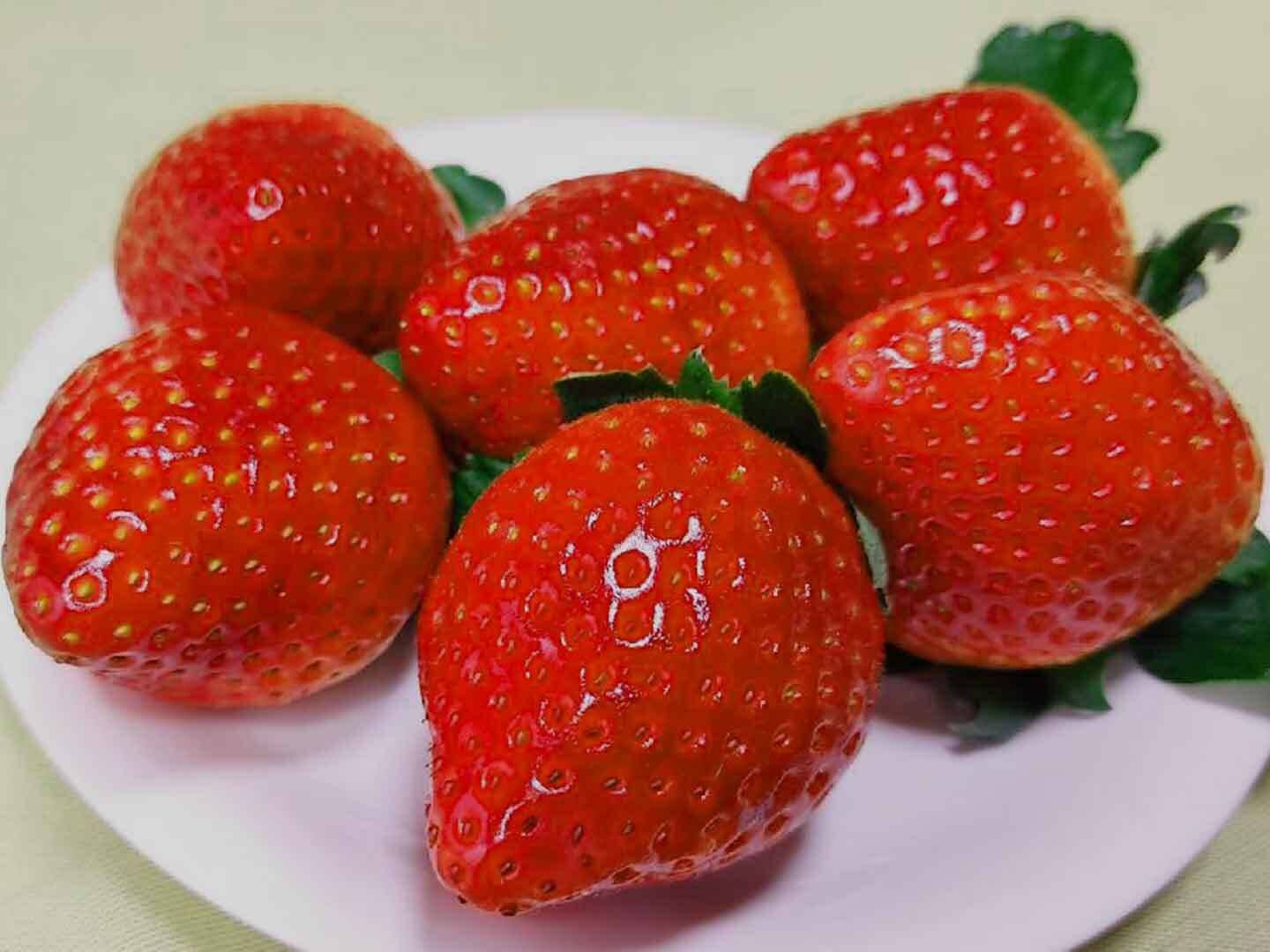 🍴 Eating choku ｜ (4P) [Strawberry / Tochiaika] A new variety with firm fruits, low acidity and outstanding sweetness ★ "Tochiaika" (XNUMX packs) Strawberries from Tochigi Prefecture The most popular strawberry set ...