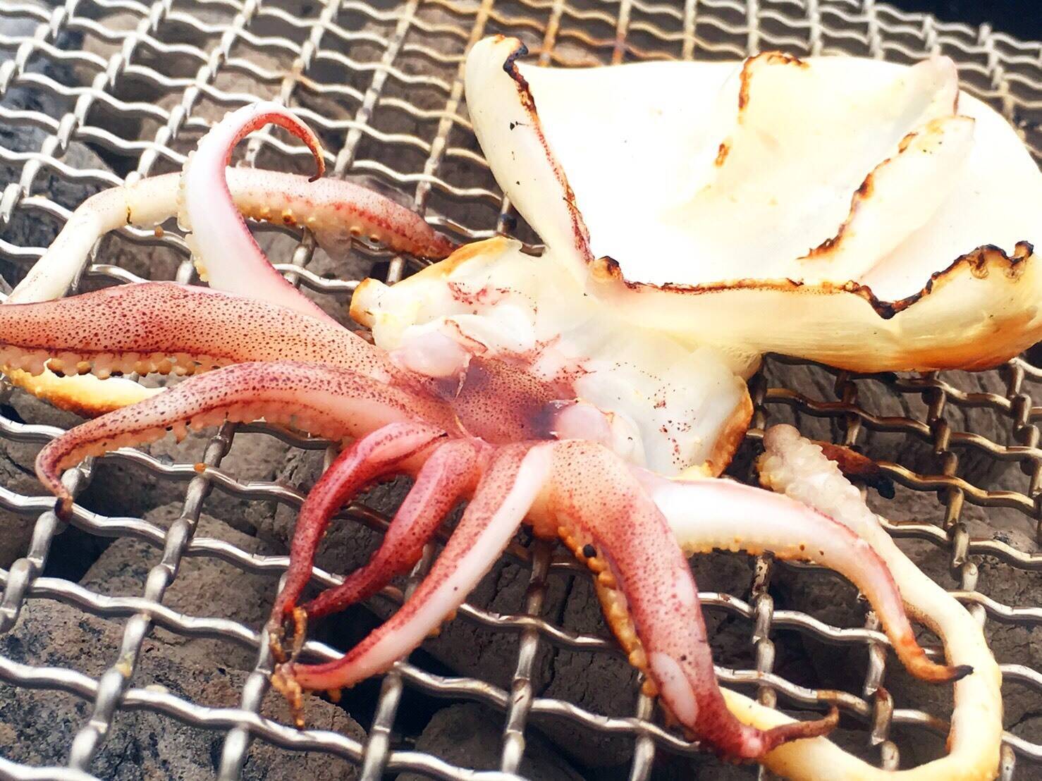大変お待たせしました！復活第3弾 特選上級干物セット「イカの