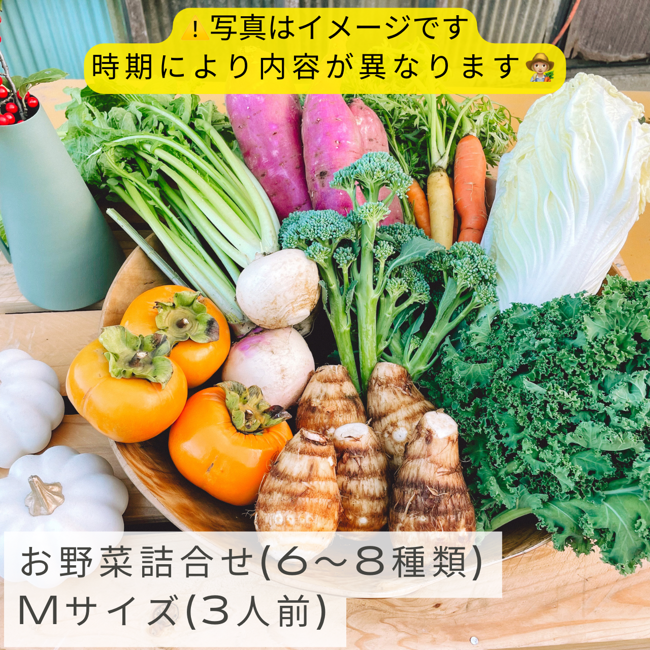 新鮮お野菜詰合せ【Mサイズ（3人前)】：埼玉県産の野菜セット｜食べ