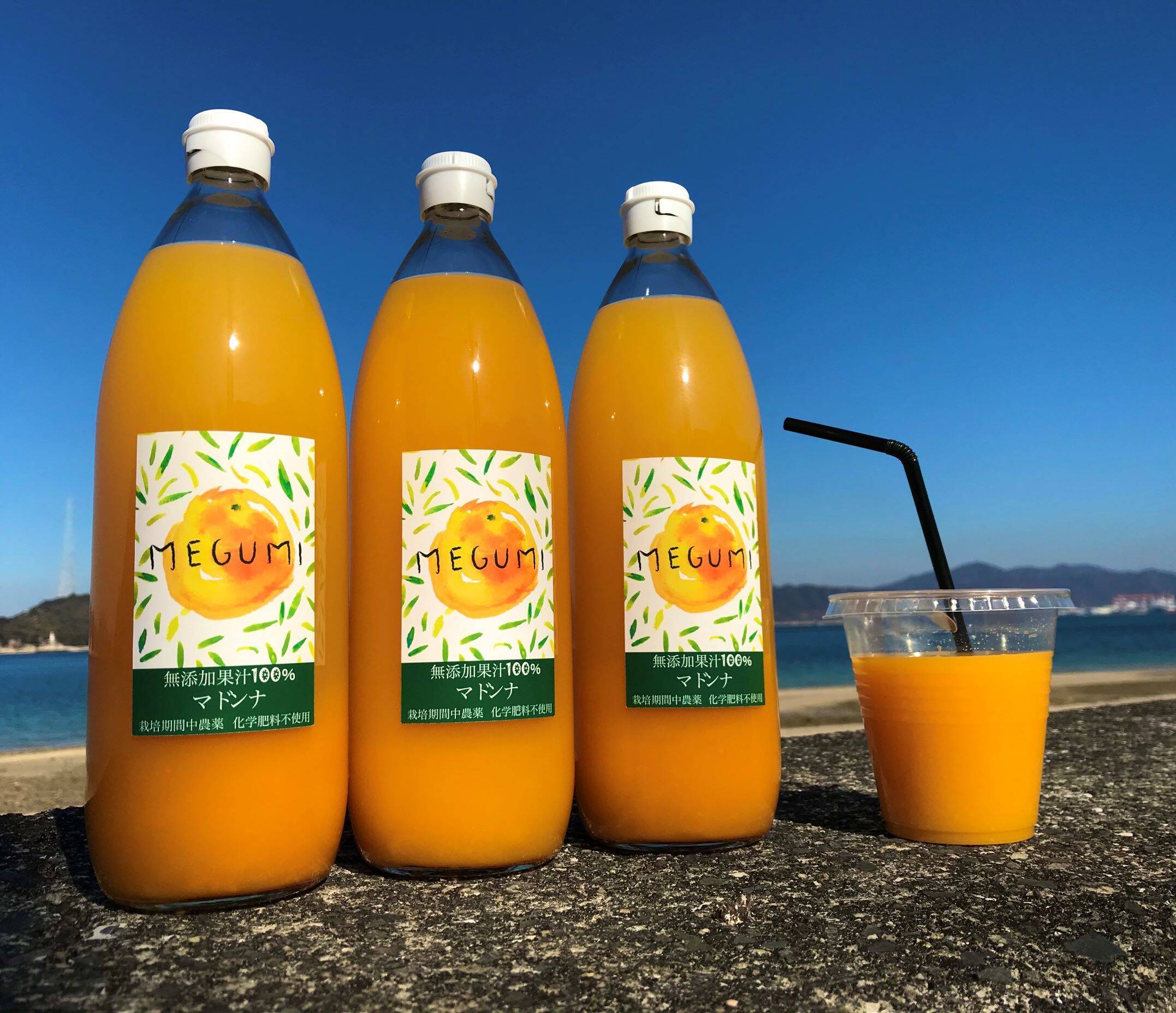 農薬不使用】マドンナジュース/ 温州みかんジュース2種 1000ml6本入り