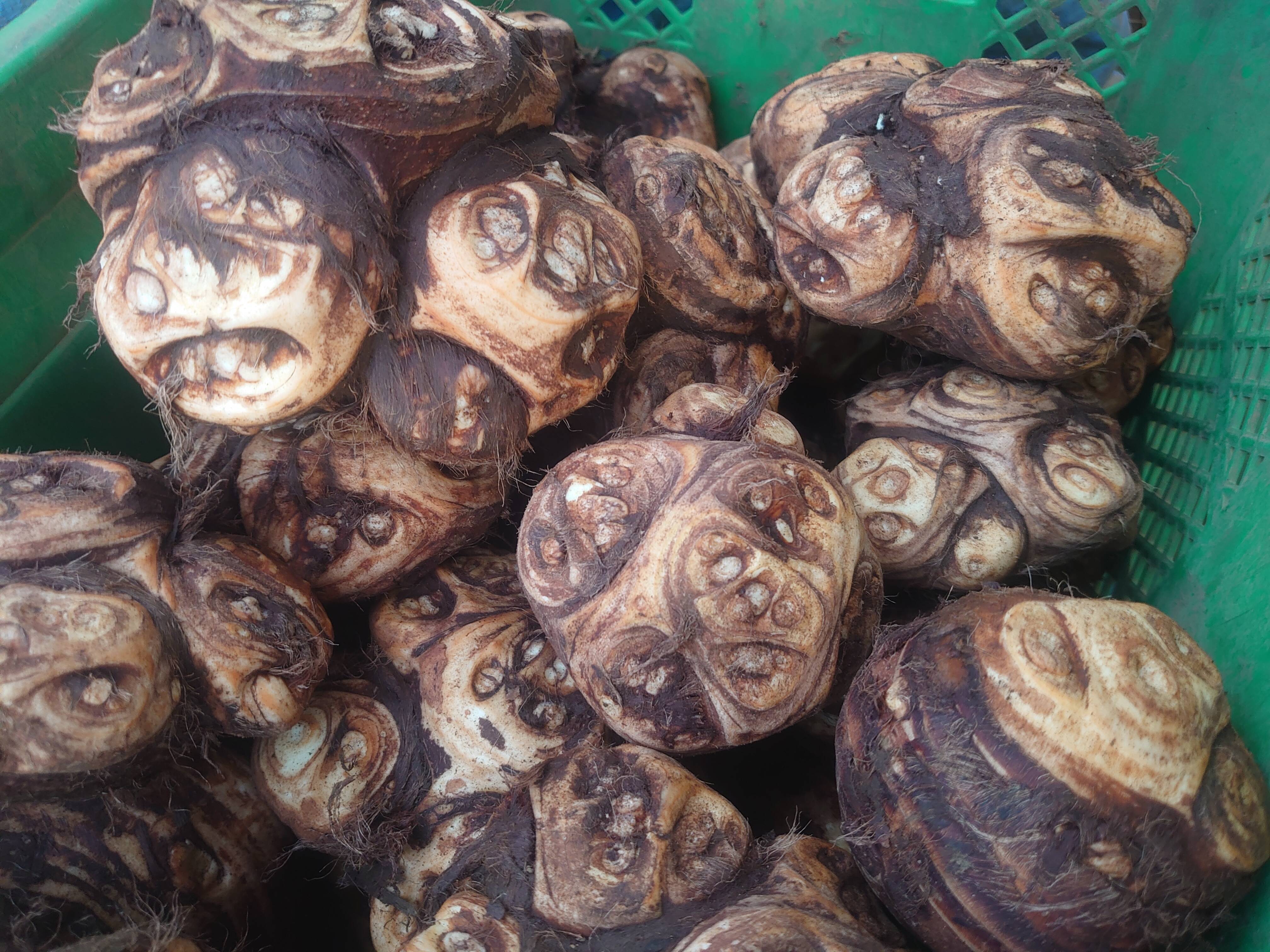 849490fa3184196c801fc43de459c3