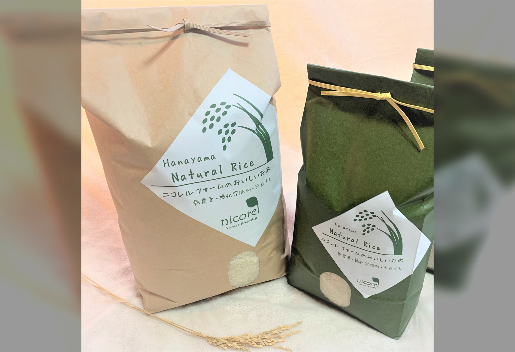 農薬不使用/天日干し/コシヒカリ/白米20㎏/長野県塩尻産/令和5年 米 