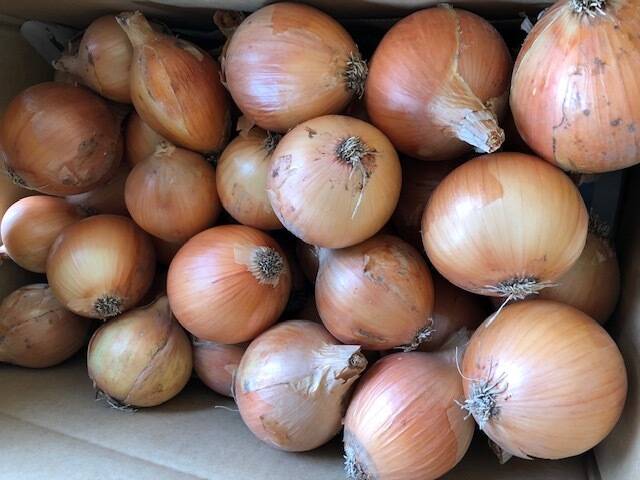【公式ショップ】 20キロ小玉】淡路島たまねぎ ターザン 完熟：兵庫県産のターザン 野菜