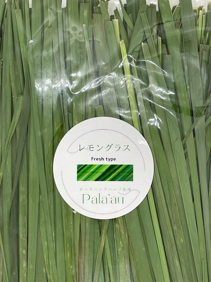 自然栽培　フレッシュレモングラス予約販売　　葉側　５００ｇ　￥２３００