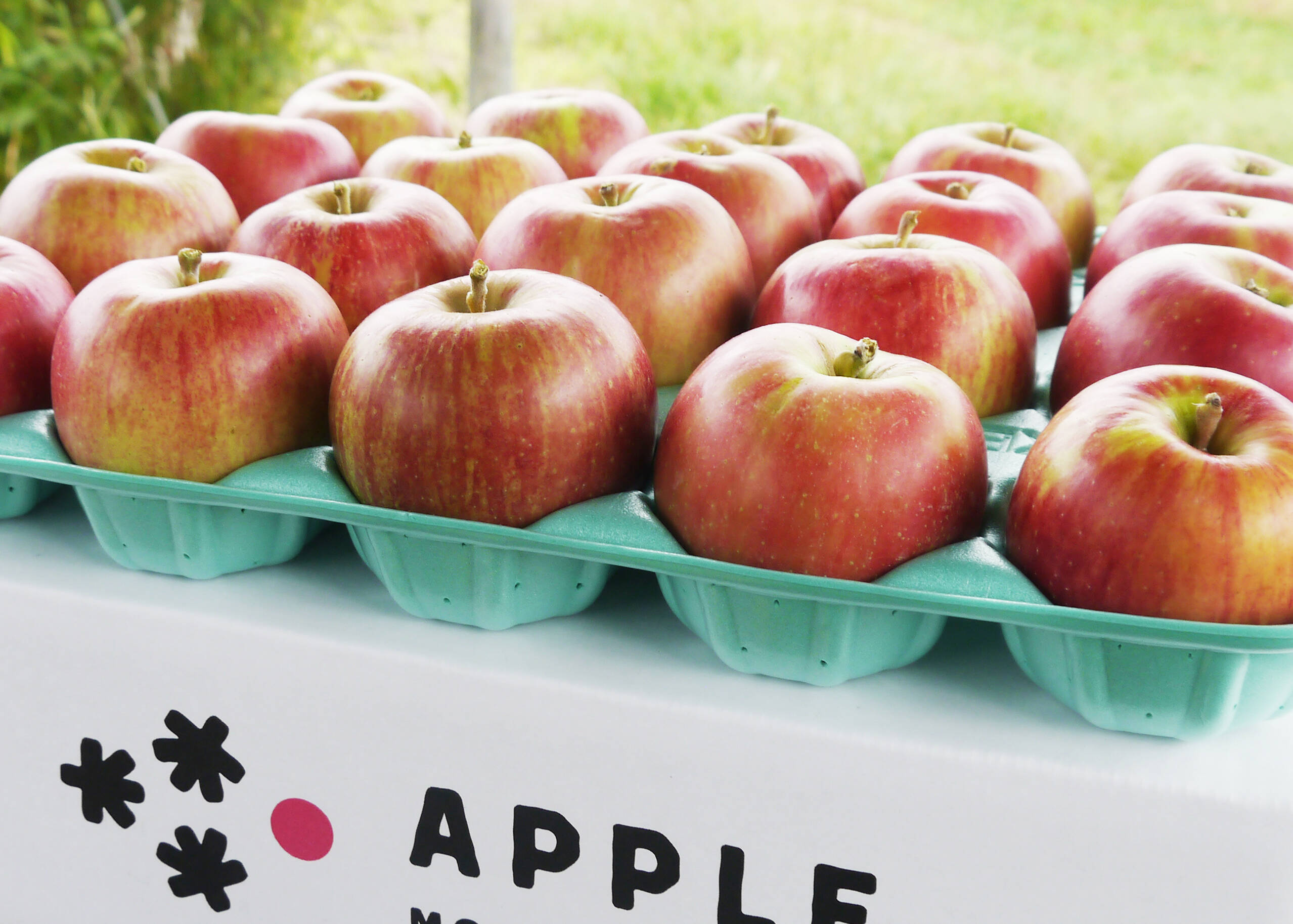 🍎未希ライフ🍎5kg みずみずしい夏りんご✨低農薬で皮ごと安心！旬 ギフト 贈答用 特選