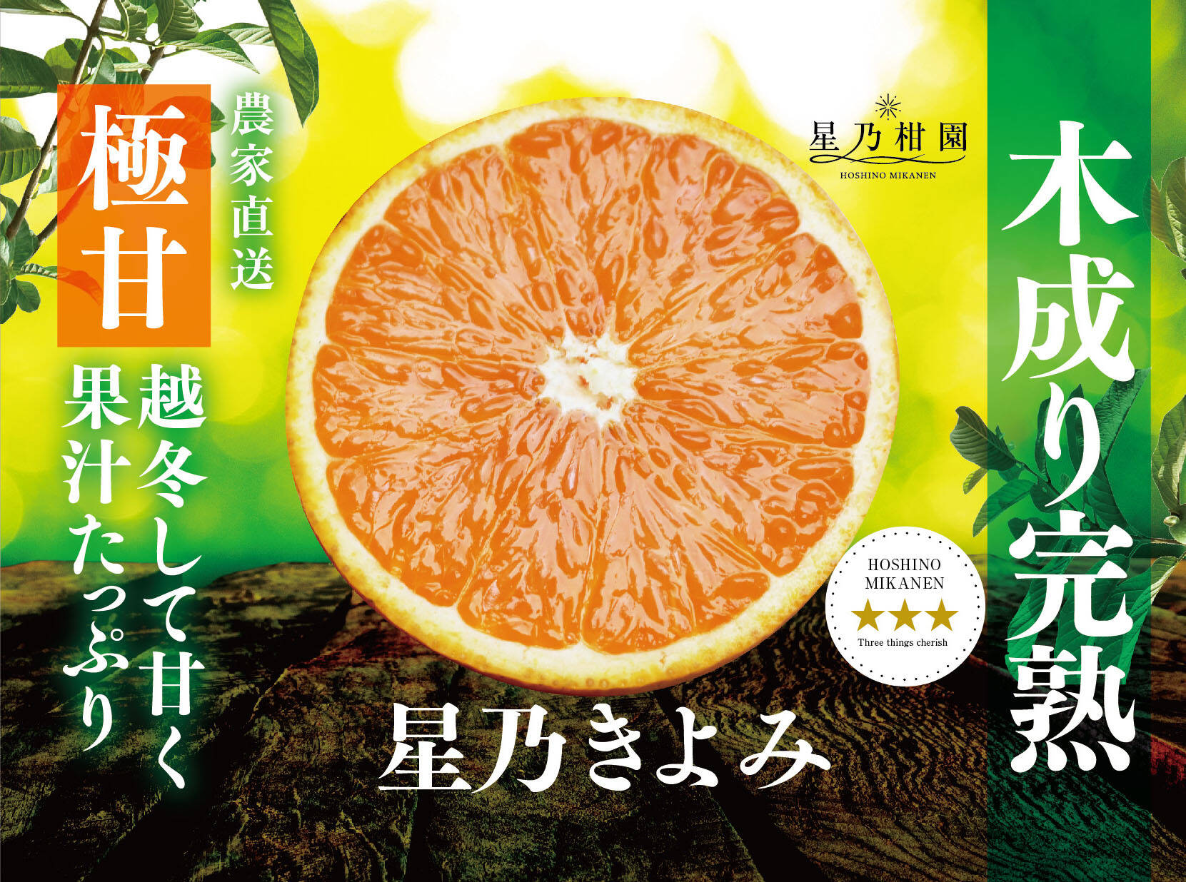 木なり甘夏 完熟 農薬化学肥料不使用 10kg - 果物