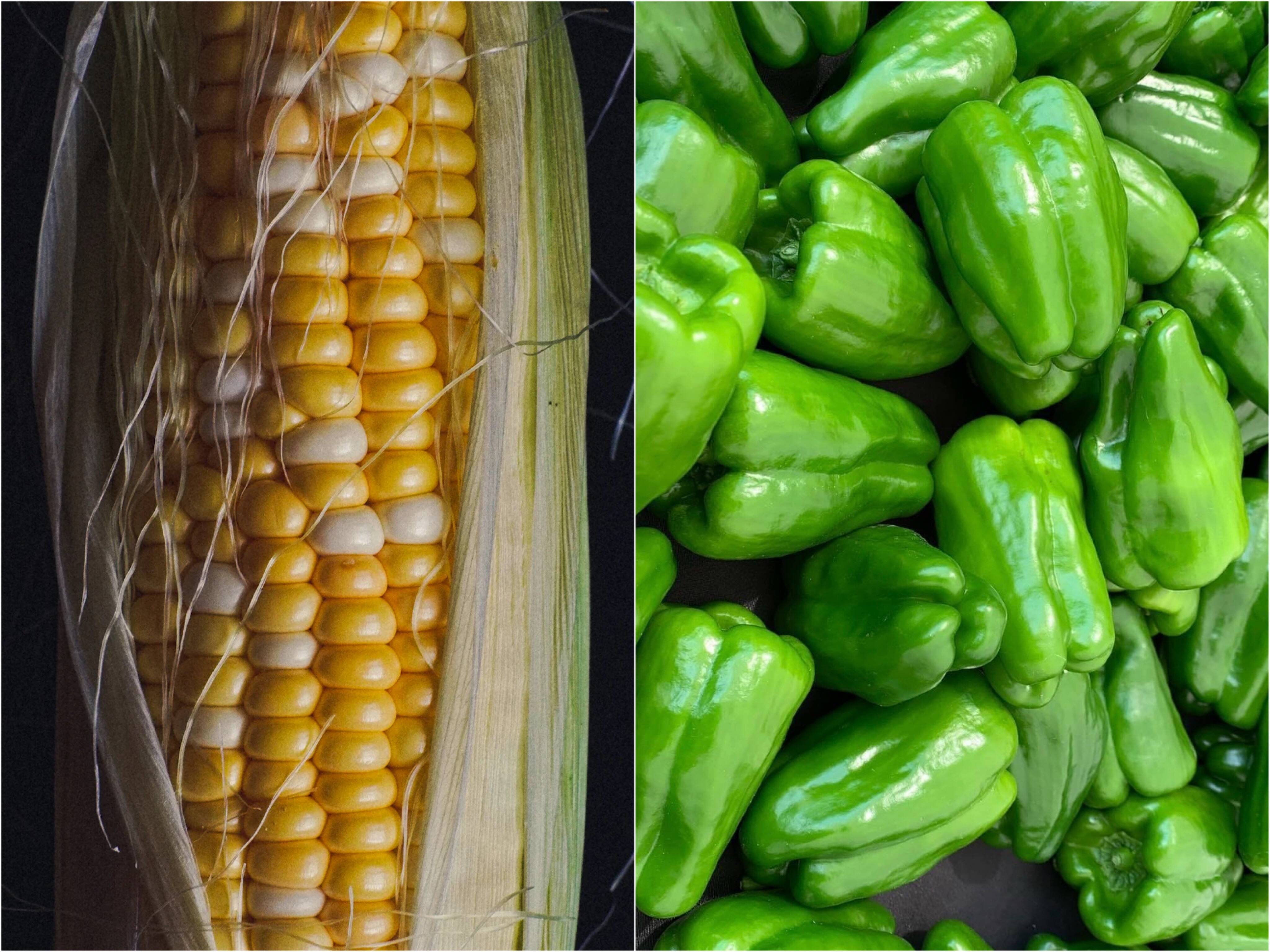 バーベキューに…】とうもろこしとピーマンセット！：兵庫県産の野菜 