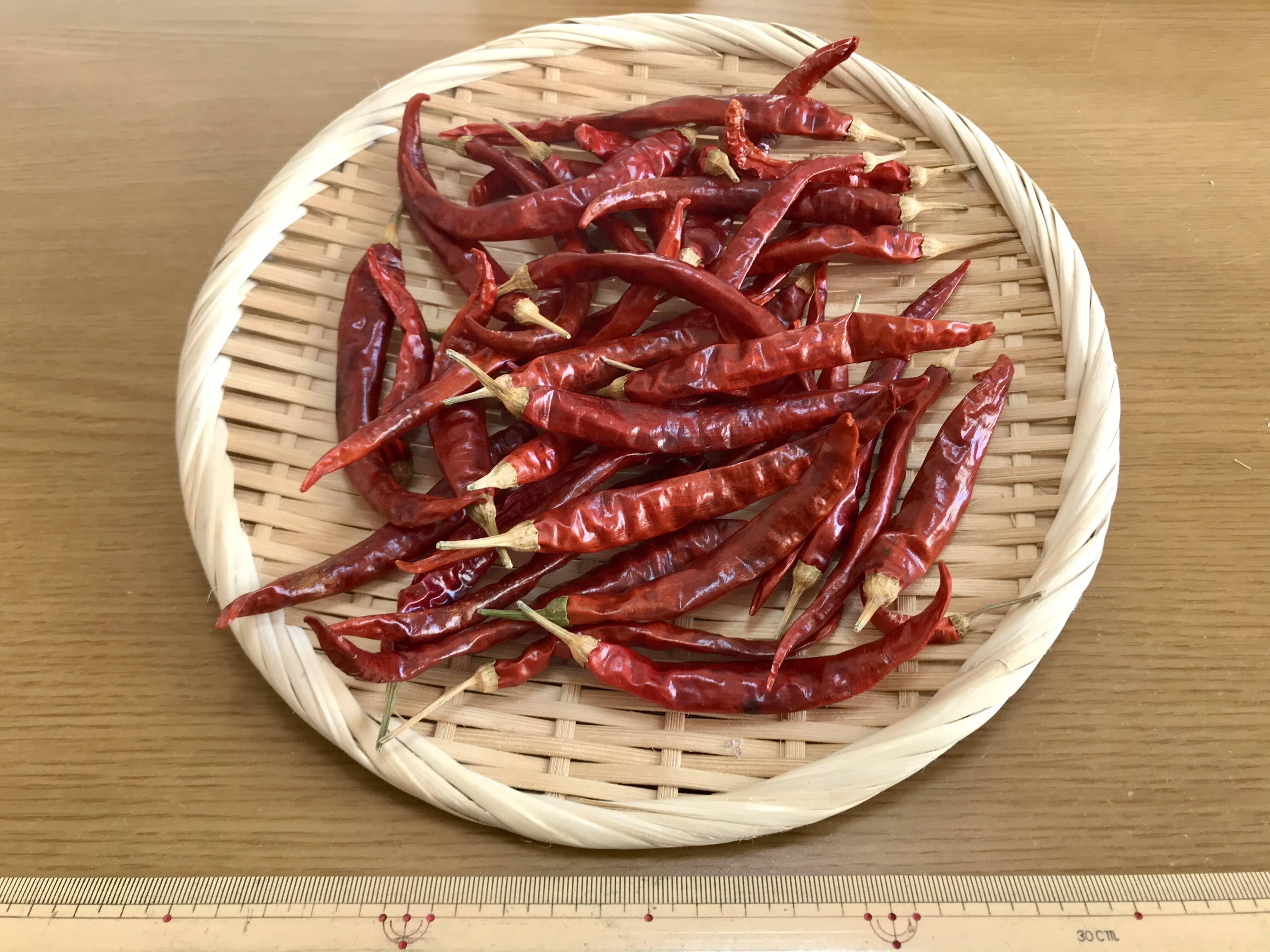 唐辛子 激辛 40g 愛知県産の唐辛子 食べチョク 産地直送 産直 お取り寄せ通販 農家 漁師から旬の食材を直送