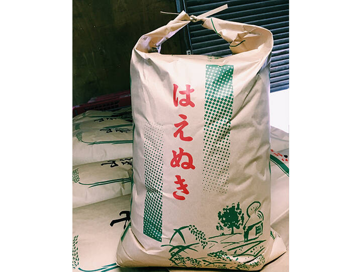 令和7年 はえぬき【玄米】5kg 山形県飯豊町産：山形県産のお米｜食べ