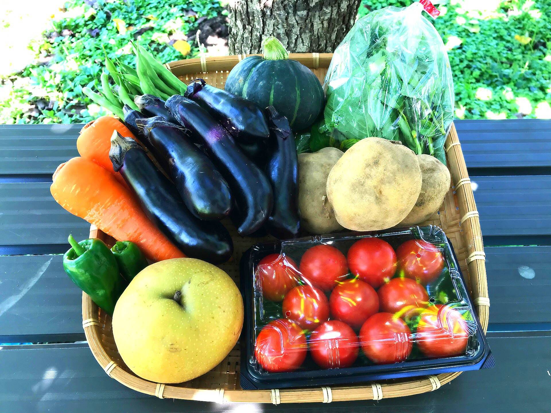 福島県から旬の美味しいお野菜をお届けします ギフトや贈答用にもピッタリ：福島県産の野菜｜食べチョク｜産地直送(産直)お取り寄せ通販 -  農家・漁師から旬の食材を直送