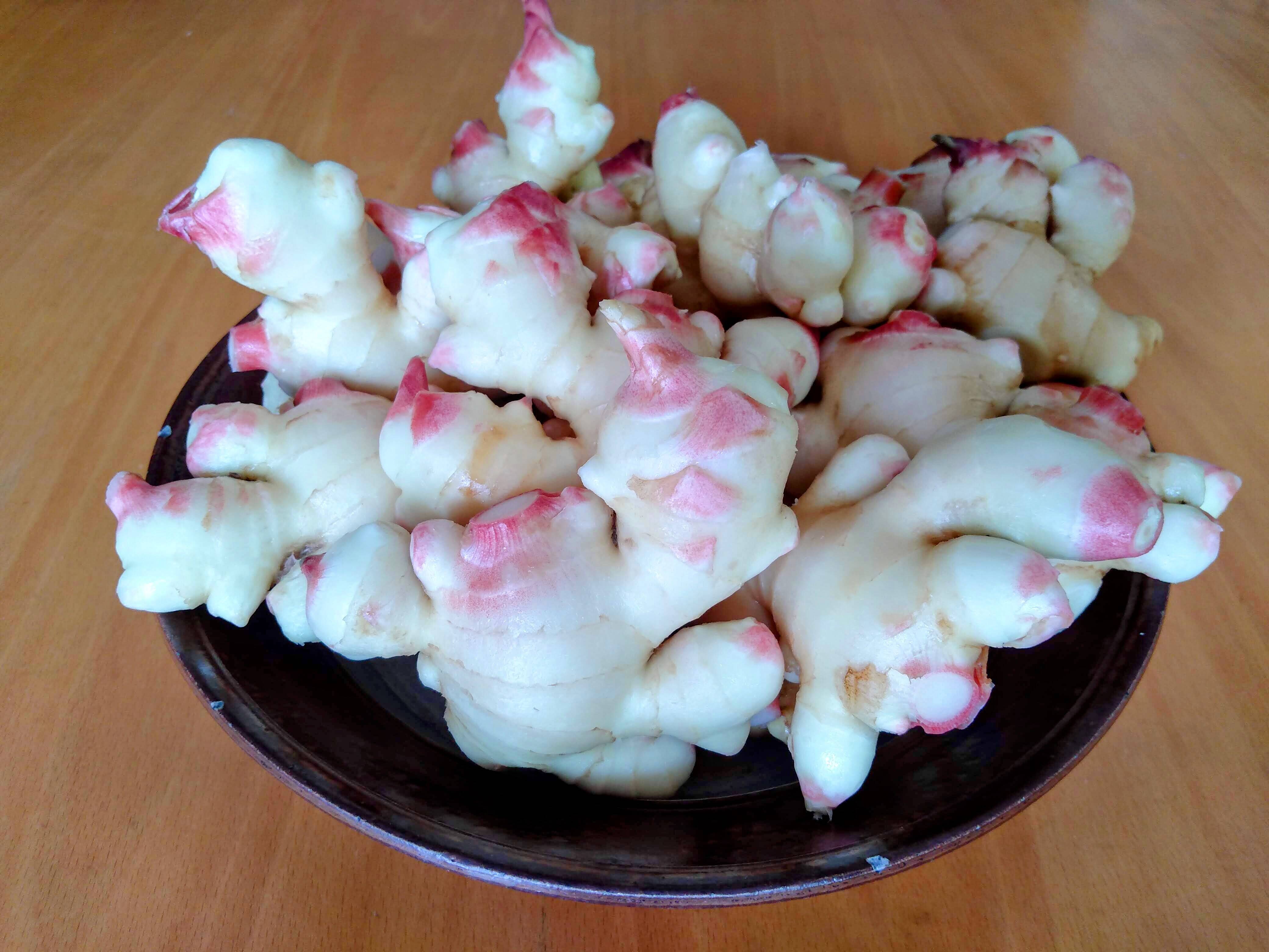 力強く生命力溢れる新しょうが2000g（有機JAS認証）：島根県産の