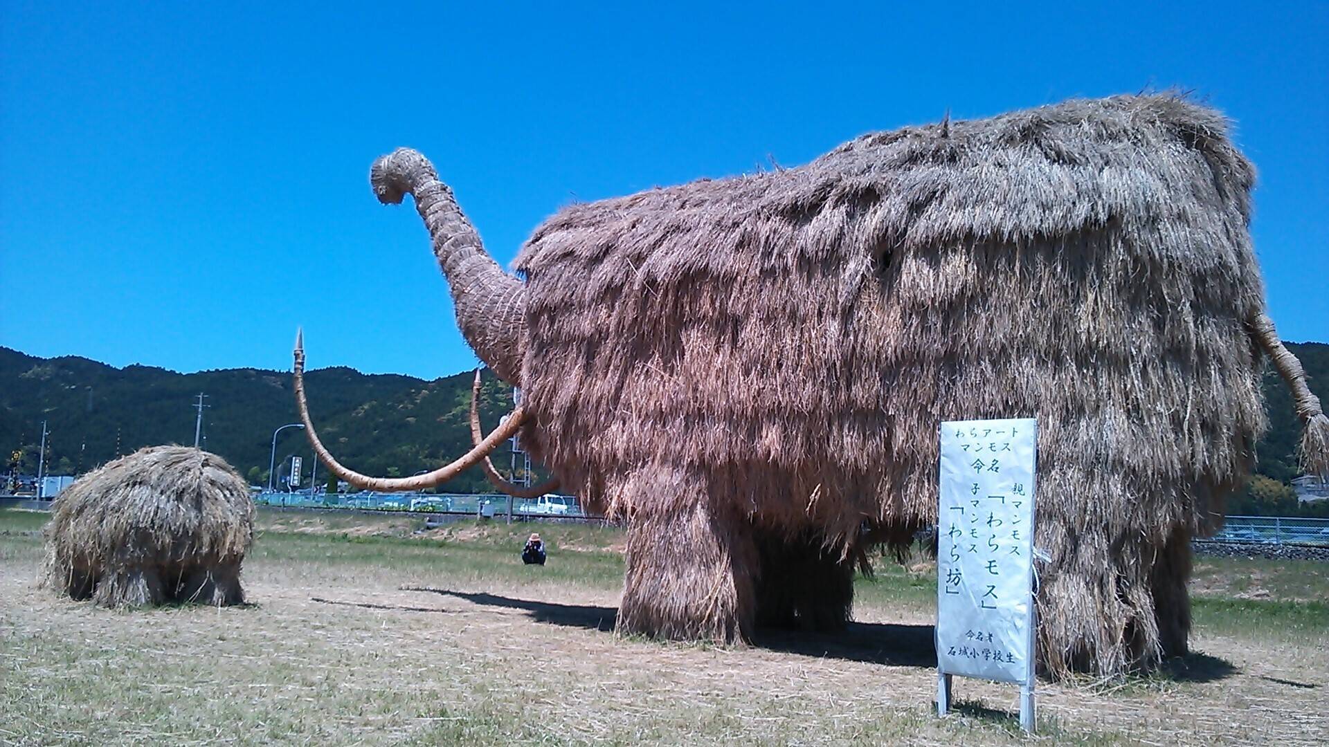 【サラ☆Naosami専用】農家直送 愛媛県西予市産にじのきらめき白米 30kg 令和8年度産新米】 お米5k（上白米）：愛媛県産のお米｜食べチョク