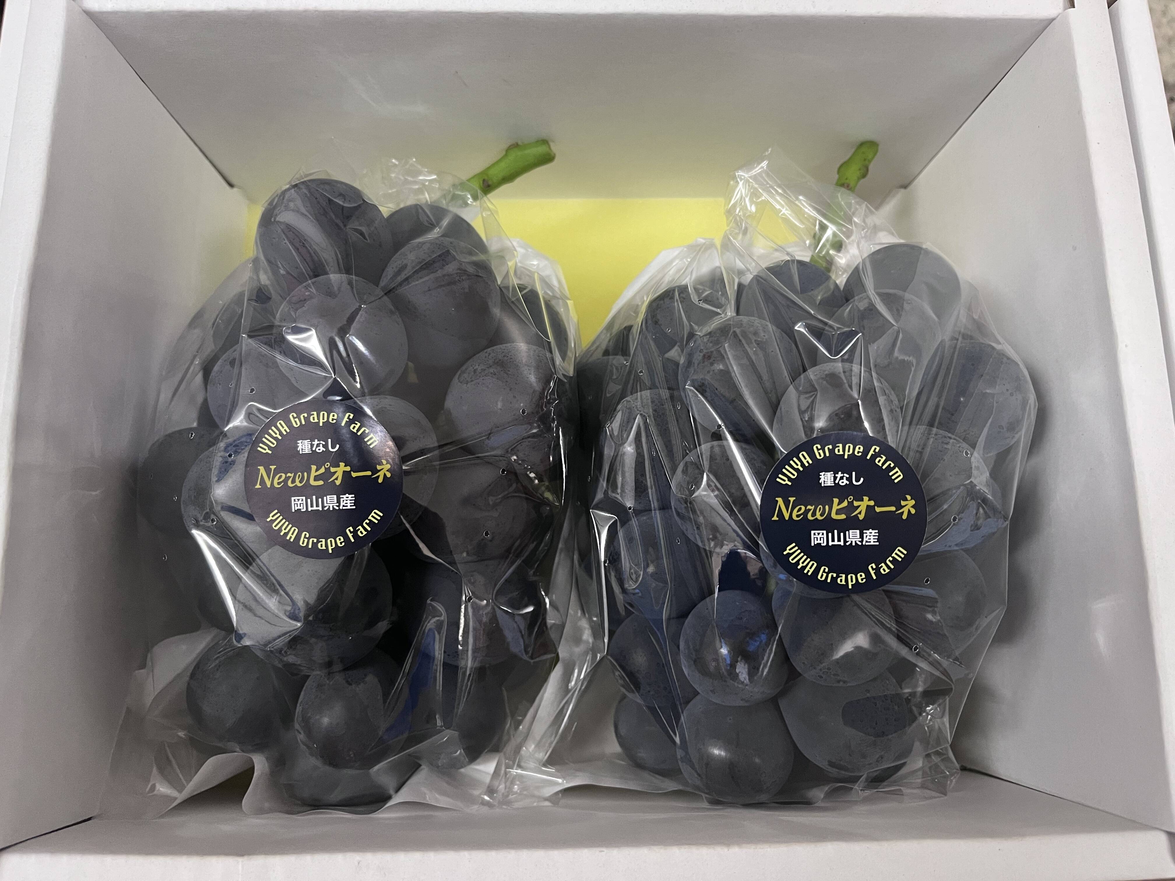 大粒！高糖度！岡山県産ニューピオーネ1.2kg(2房入) 【夏ギフト