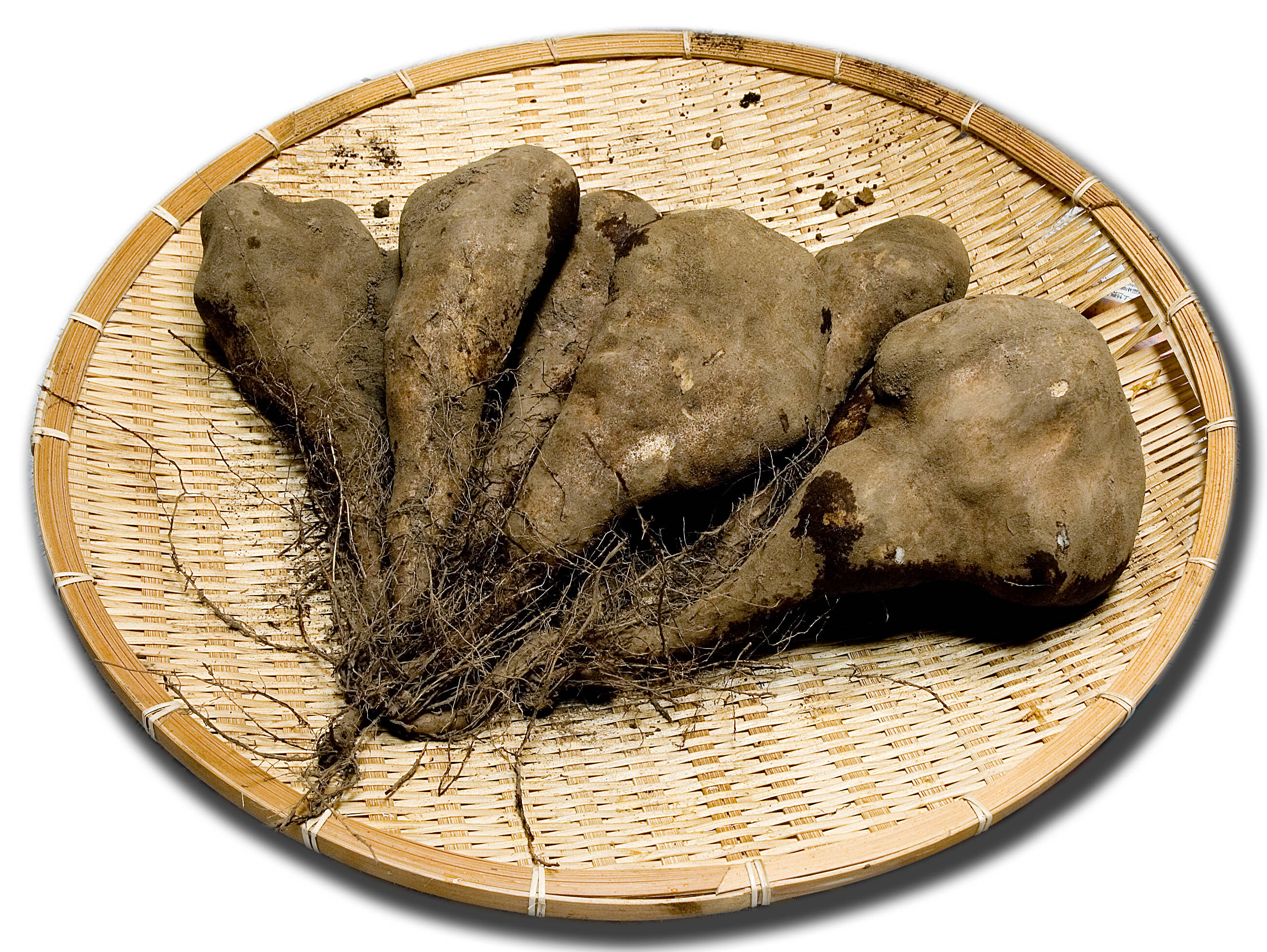 874bfe9bed2959dbbc71ee18b8eeea