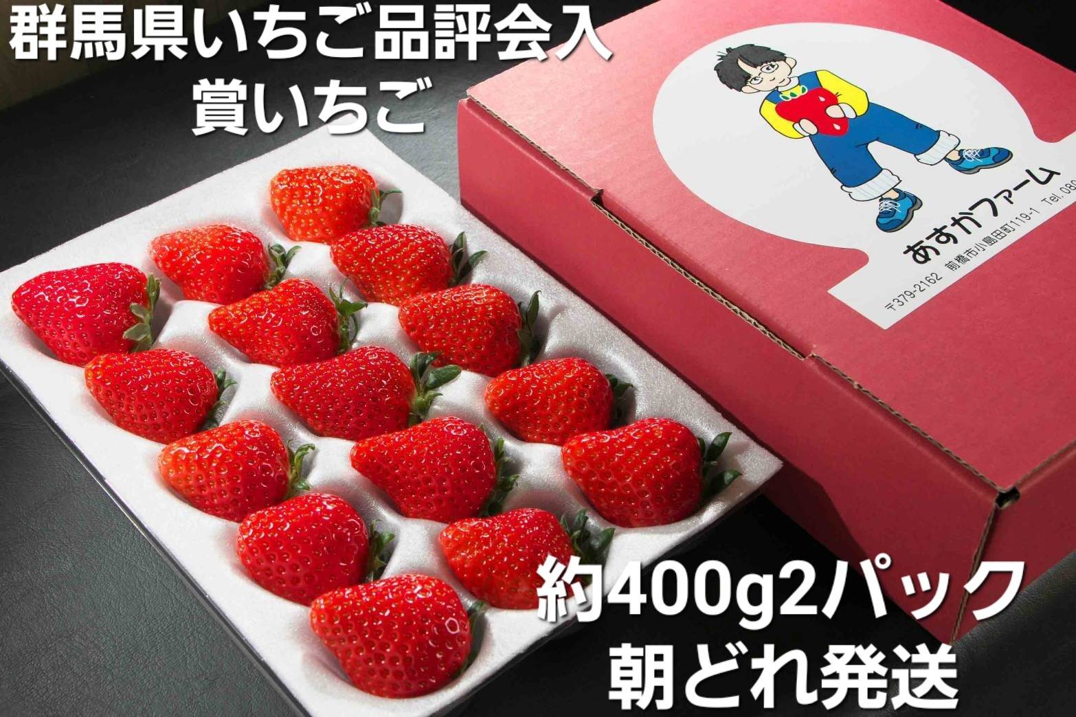 冬ギフト】【お歳暮、お年賀、家族団らんにも】やよいひめ どこにも無い味の濃さを皆様の元へお届けしたいと思いで作ったいちごです 約400ｇ  2パック：群馬県産のやよいひめ｜食べチョク｜産地直送(産直)お取り寄せ通販 - 農家・漁師から旬の食材を直送