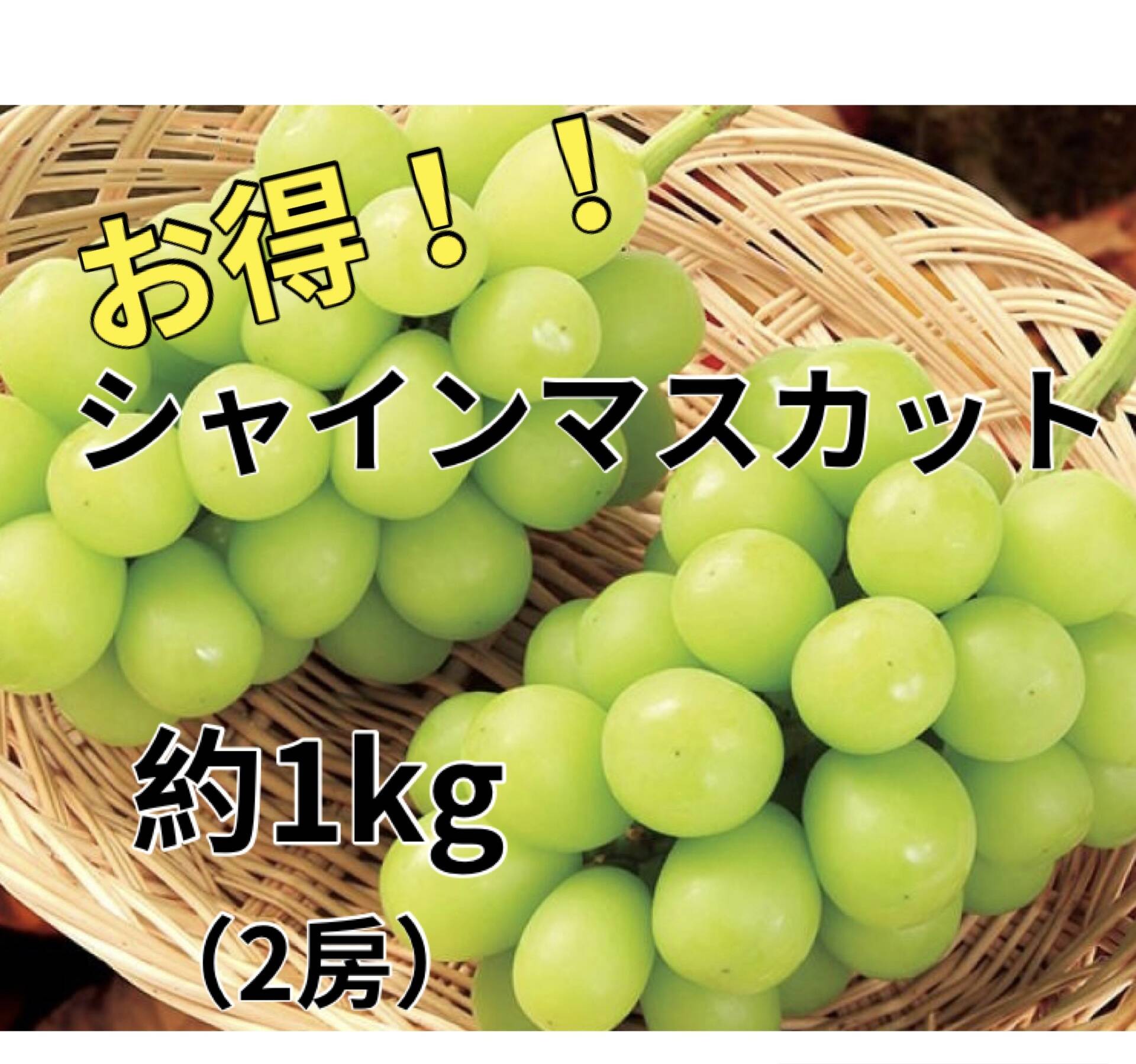 長野県産　大粒シャインマスカット箱込み5㌔以上 お得！大粒！ジューシー！長野県産シャインマスカット約1kg(2房)：長野