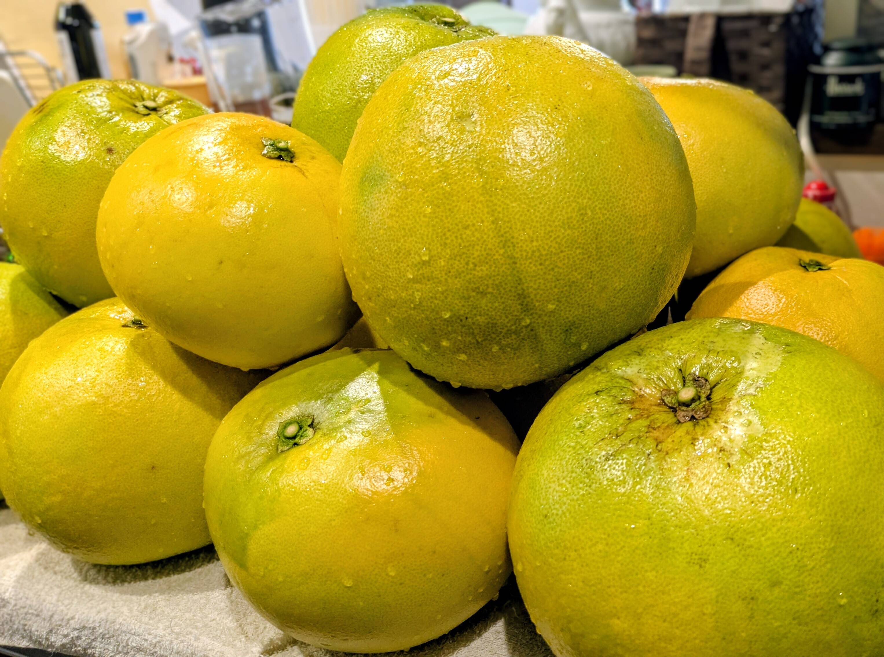 露地もの！岐阜県産『晩白柚』（ひと玉約1.5kg）：岐阜県産のみかん