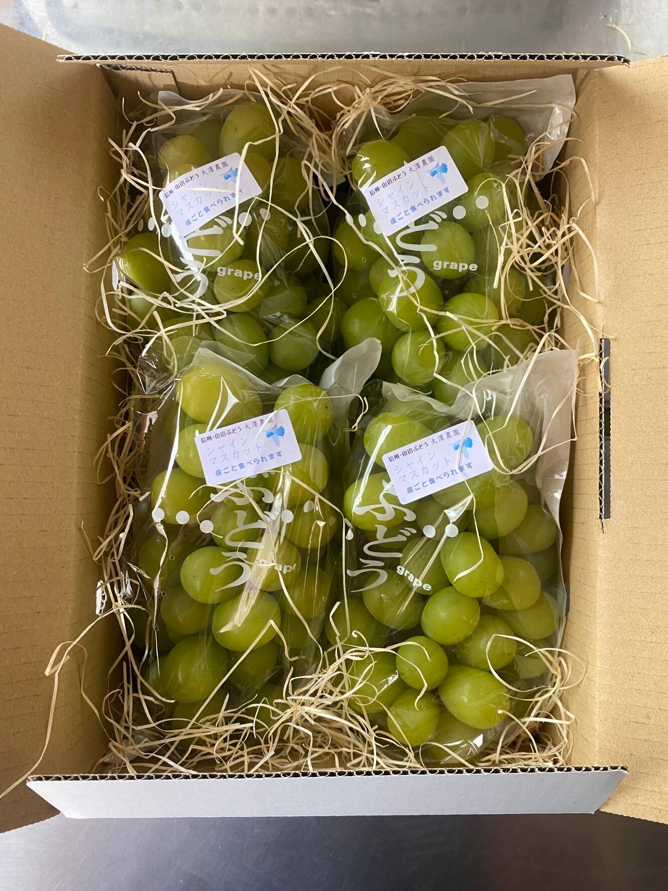 贈答用】松本入山辺産 朝採りシャインマスカット 2kg 3~4房：長野県産
