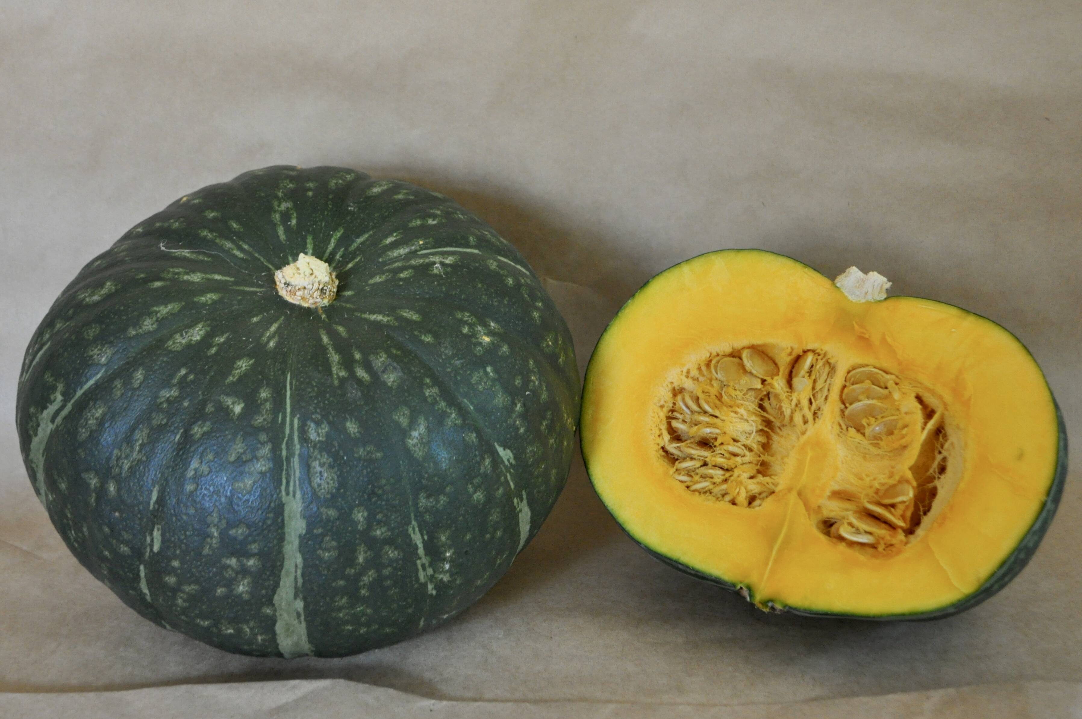 87d54f7db2759193d218995c4fd3c4