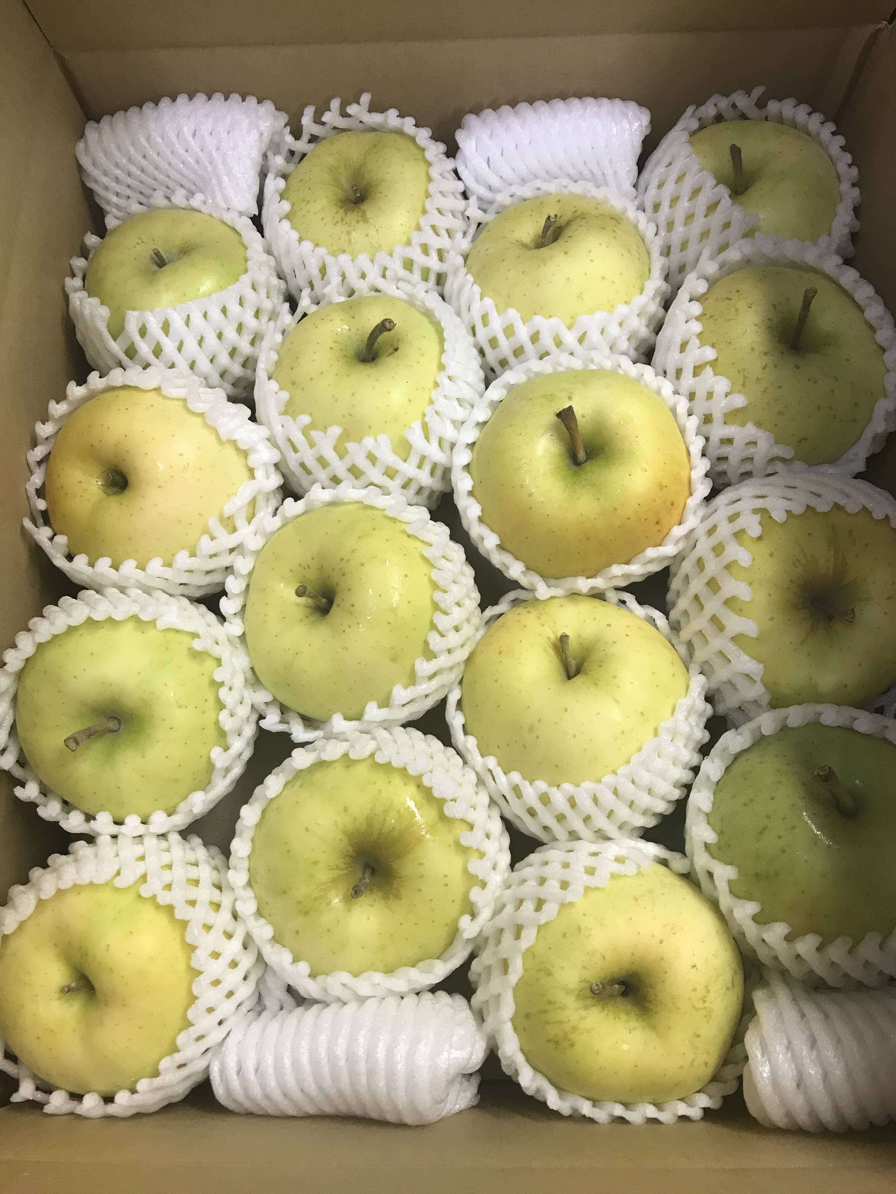 青森県産 トキ りんご 家庭用 20kg 産地直送 リンゴ - 果物