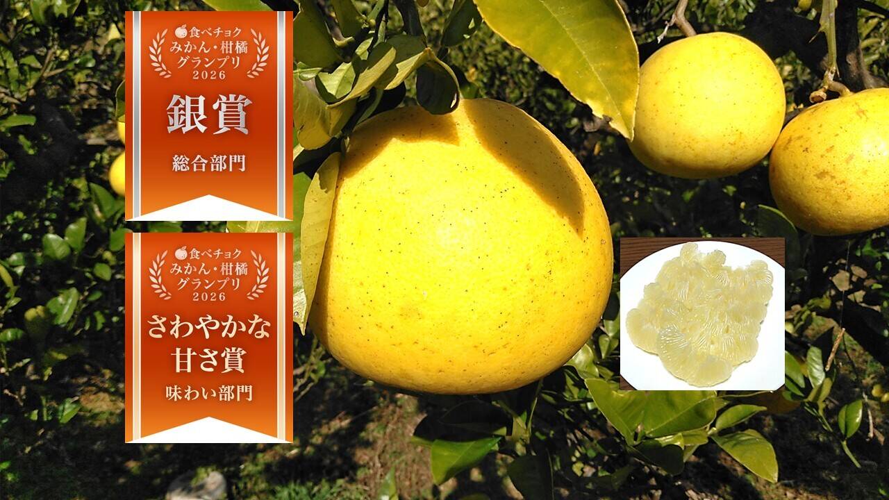 88243b84be93ed3739d03348583584
