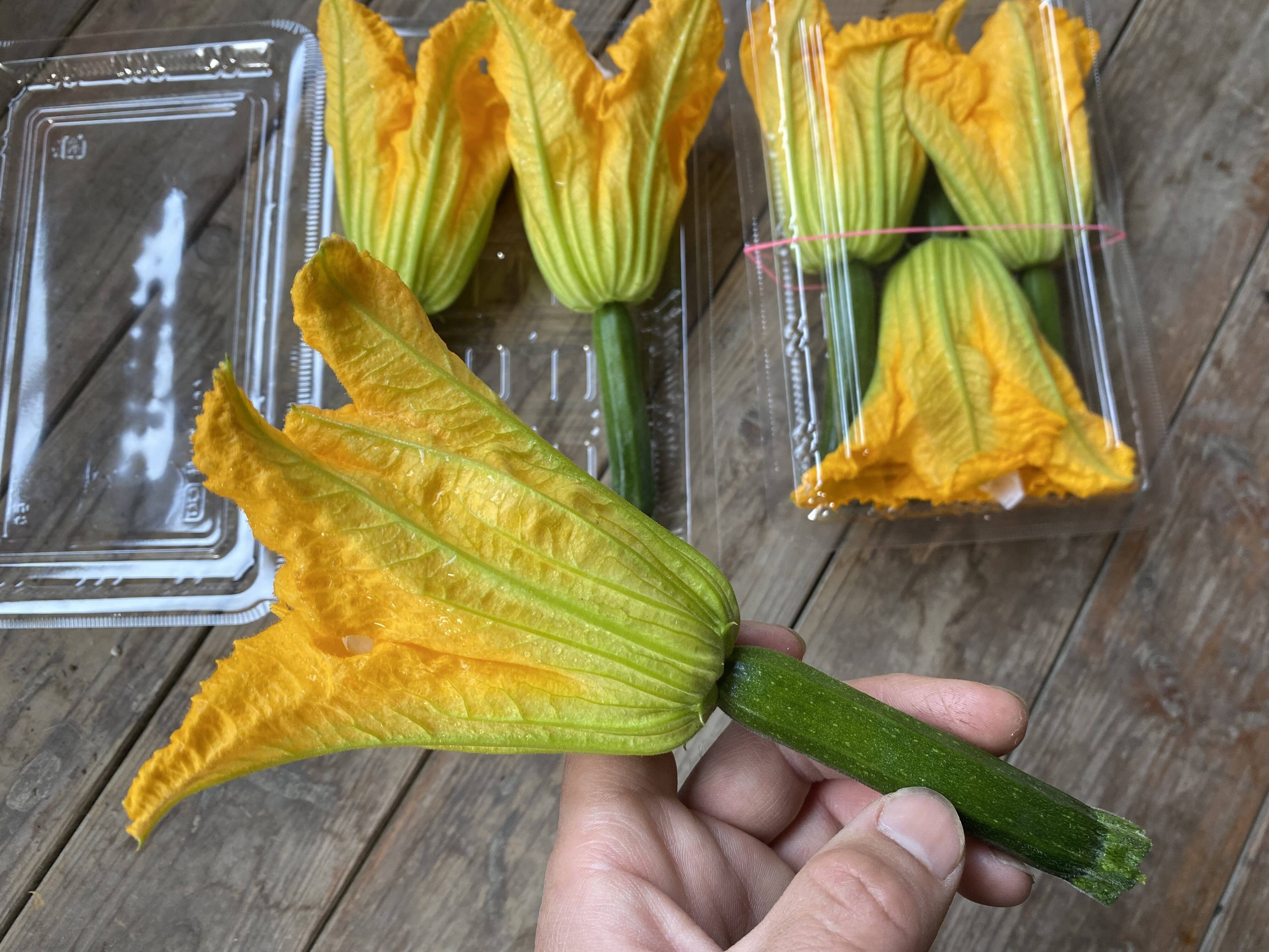 大活躍ズッキーニ 栽培期間中農薬不使用 送料込み!!約1kg（5本