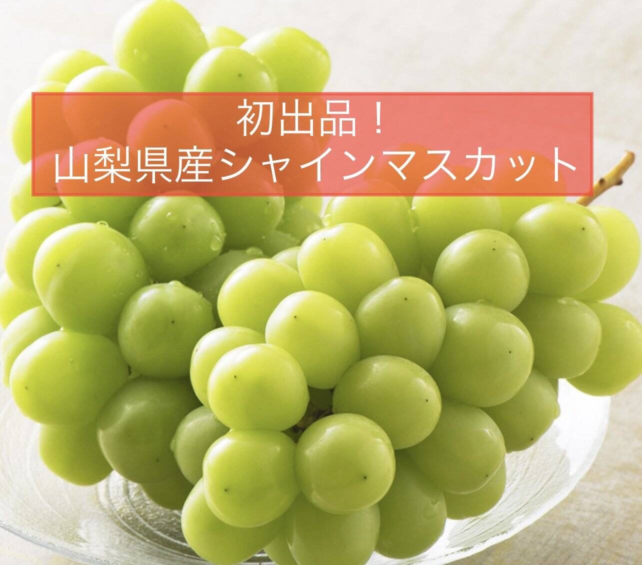 長野県産葡萄4キロ 朝取りおまかせ