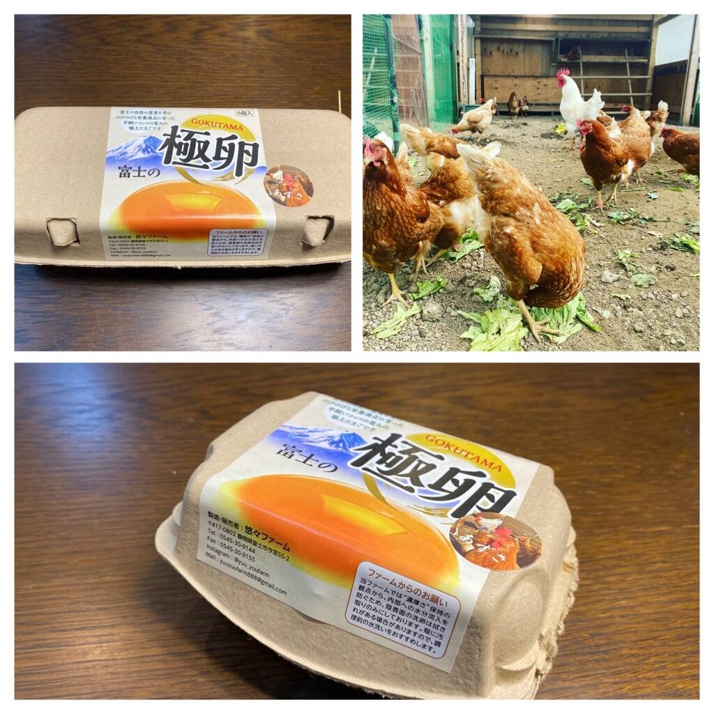 320個入り　宮下養鶏の朝採れ平飼い卵 item_20240423_161320_534_ORG.jpg