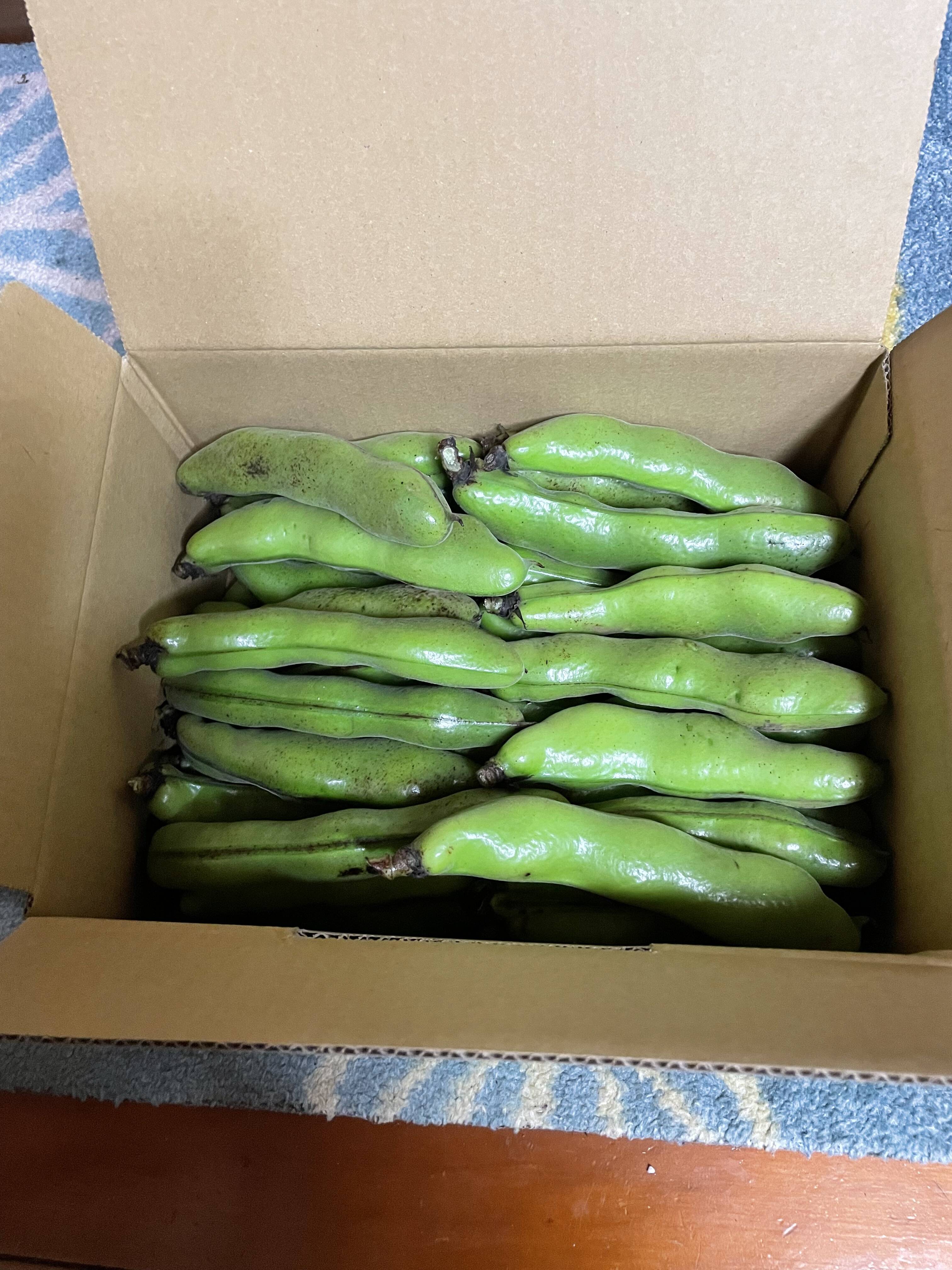 048-soraoma4kg01.jpg