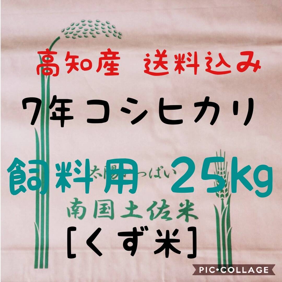 令和7年産 高知県産 新米コシヒカリ(飼料用くず米) 玄米25㎏(袋