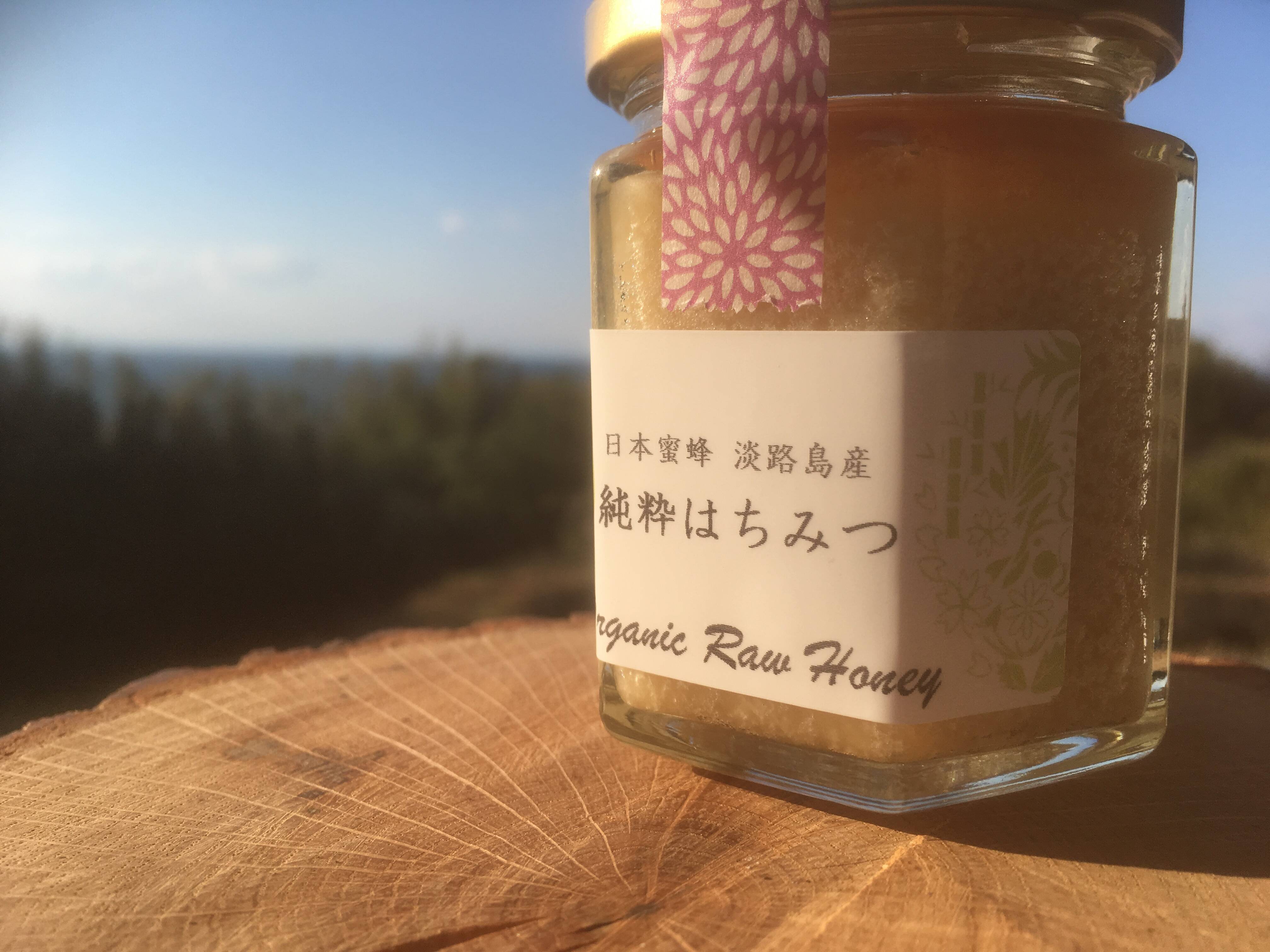日本蜜蜂の生はちみつ 3瓶セット：兵庫県産のはちみつ｜食べチョク