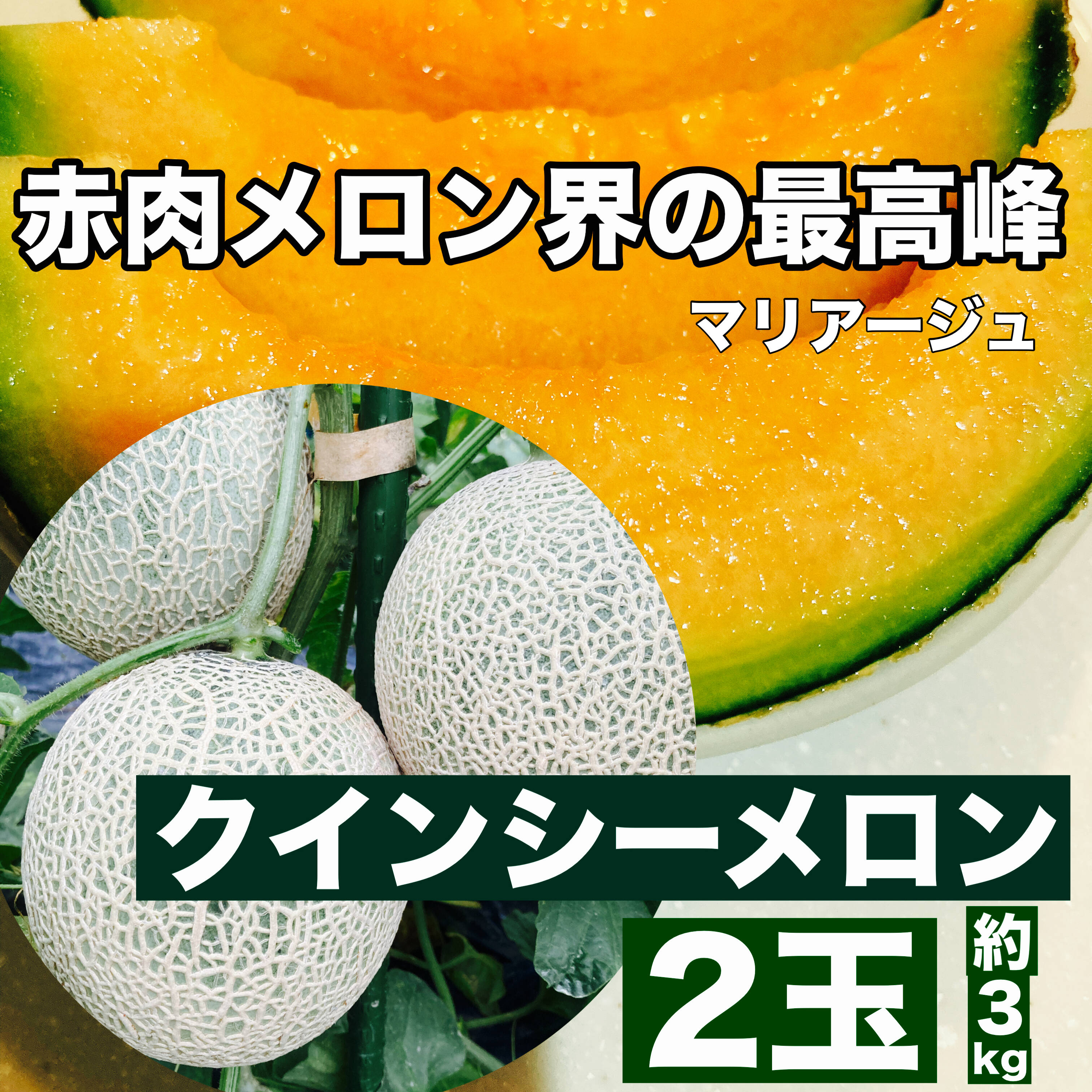 赤肉メロン界の最高峰 マリアージュ 熊本県産クインシーメロン2玉 3kg