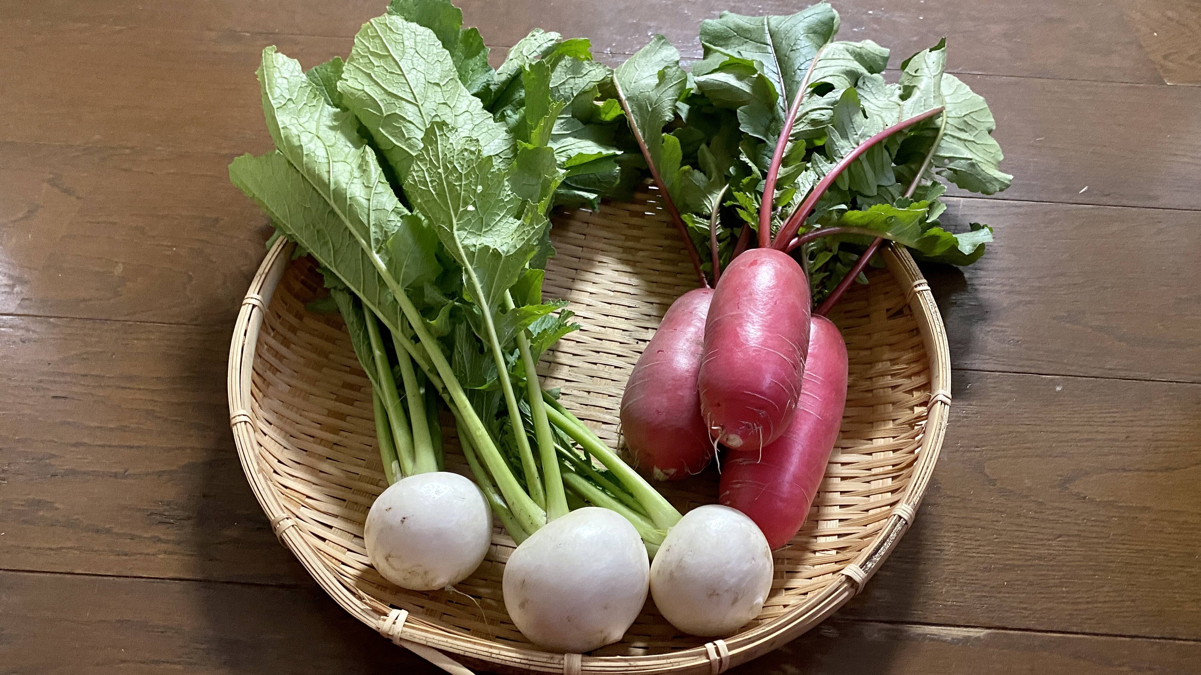 直売所でも人気のサラダ大根の出荷が始まりました 食べチョク 産地直送 産直 お取り寄せ通販 農家 漁師から旬の食材を直送
