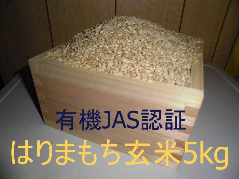 ゆりこ様　ご確認用ページ 有機JAS認証【農薬不使用「はりまもち」玄米5kg】甘くてよく伸びるもち