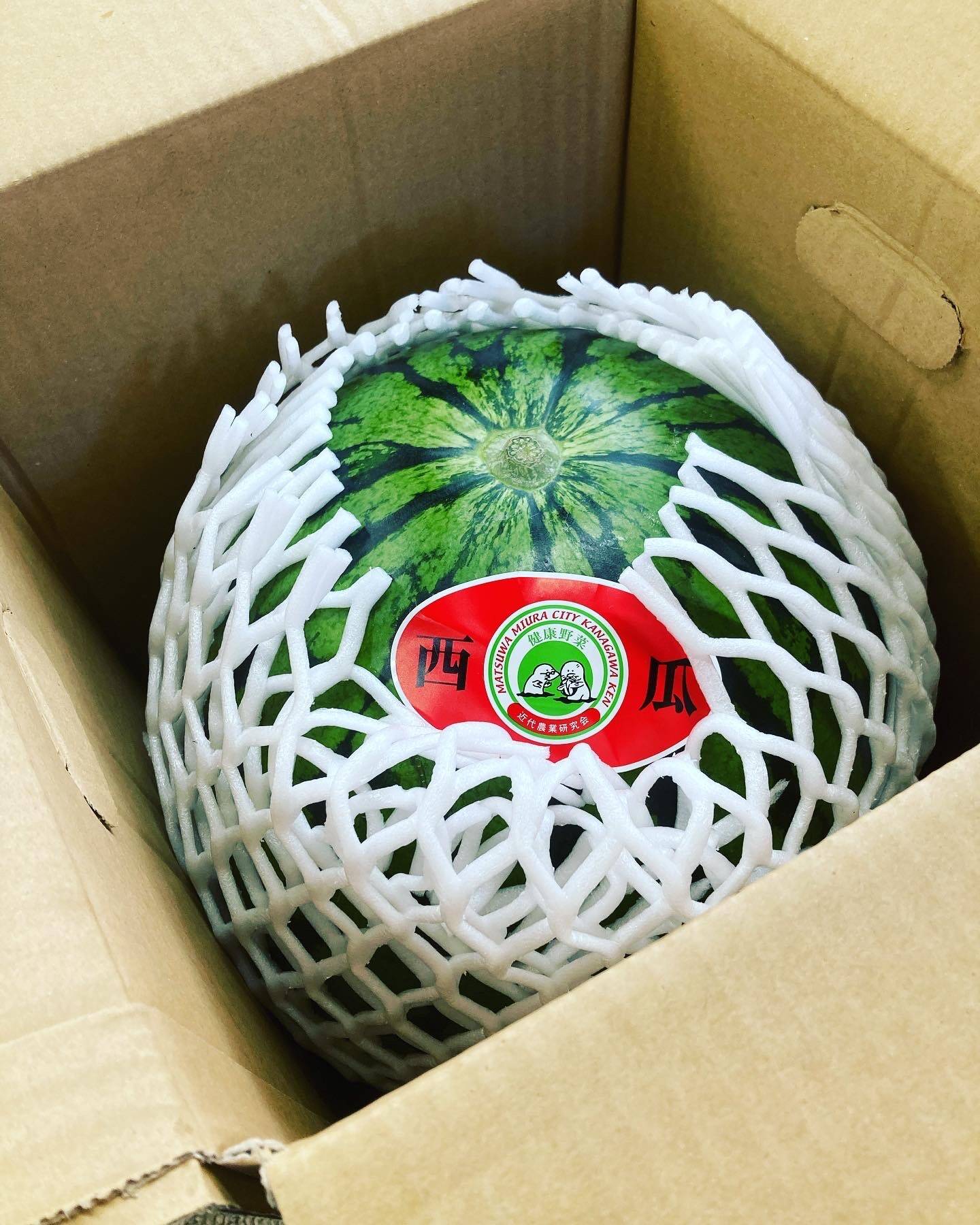 農家直送！三浦市産大玉スイカ8kg以上1玉！：神奈川県産のその他スイカ