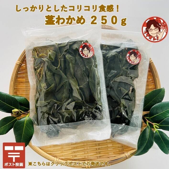 コリコリとした食感 茎わかめ250g×2パック（レターパック）：宮城県産