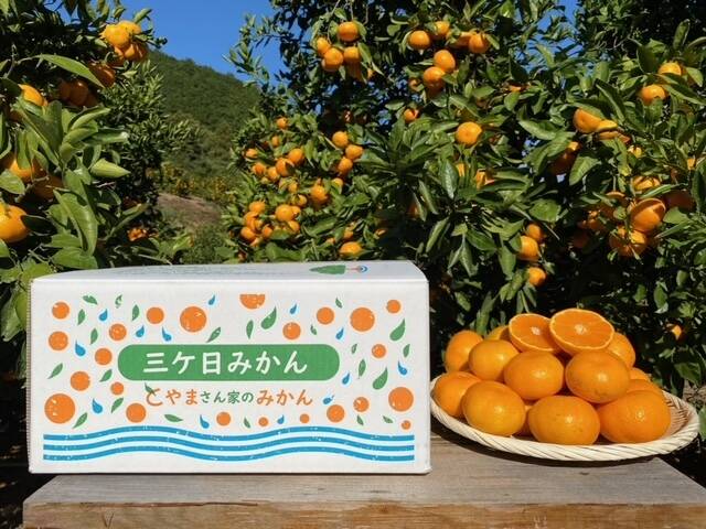 890b1dd500a5e4c2c13ef1b213b2ca